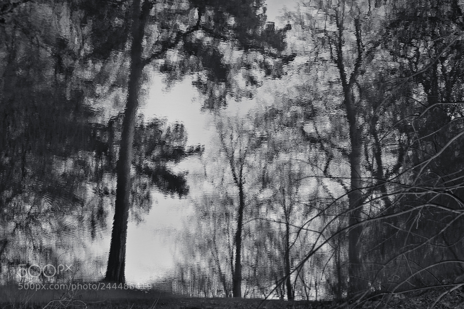 Canon EOS 60D sample photo. Pond reflections photography