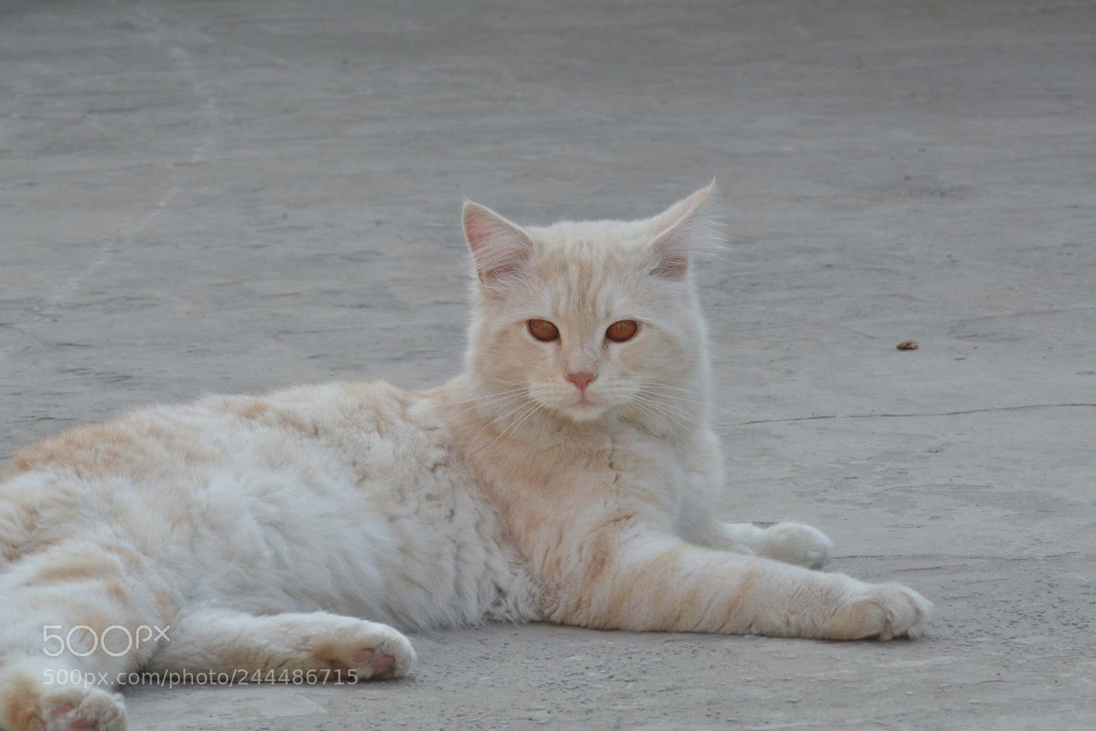 Nikon D7100 sample photo. #jerry ❤️ photography