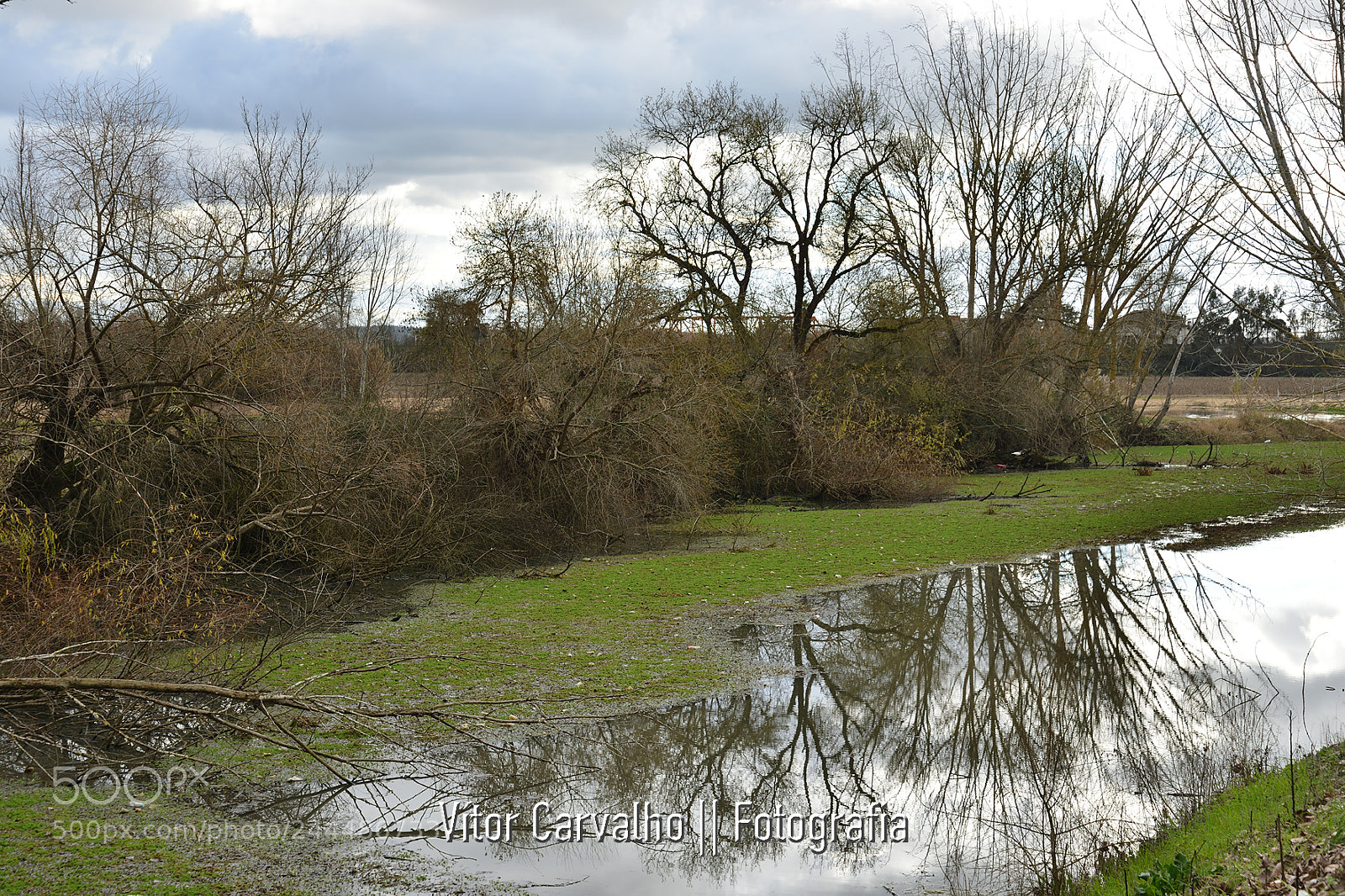 Nikon D800 sample photo. Coruche photography