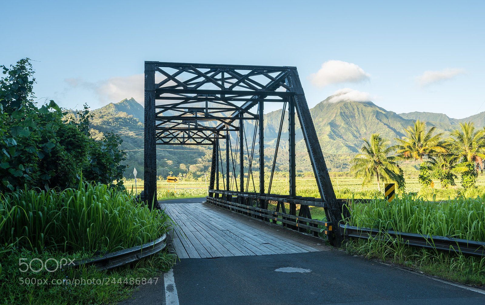 Sony a7R II sample photo. Old metal girder bridge photography