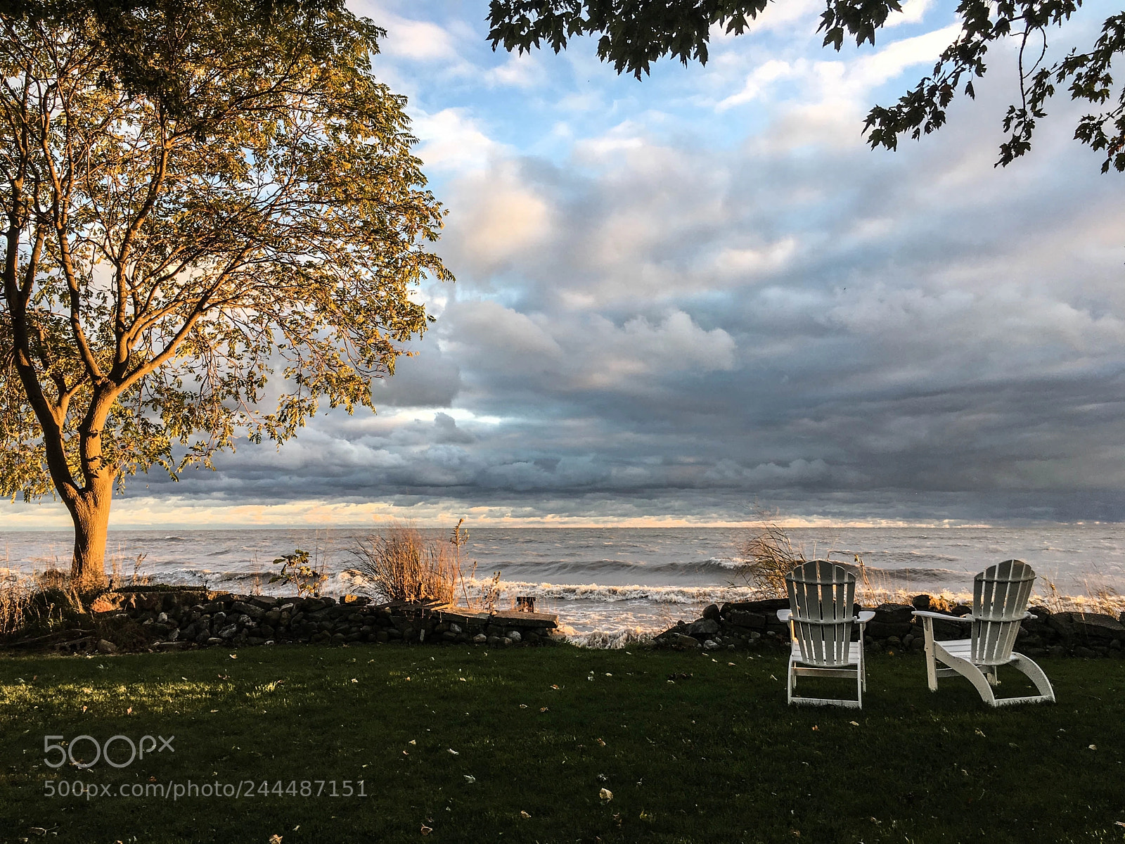 Apple iPhone SE sample photo. Fall winds photography