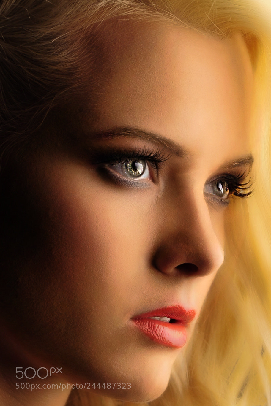 Nikon D5000 sample photo. Portrait eye photography