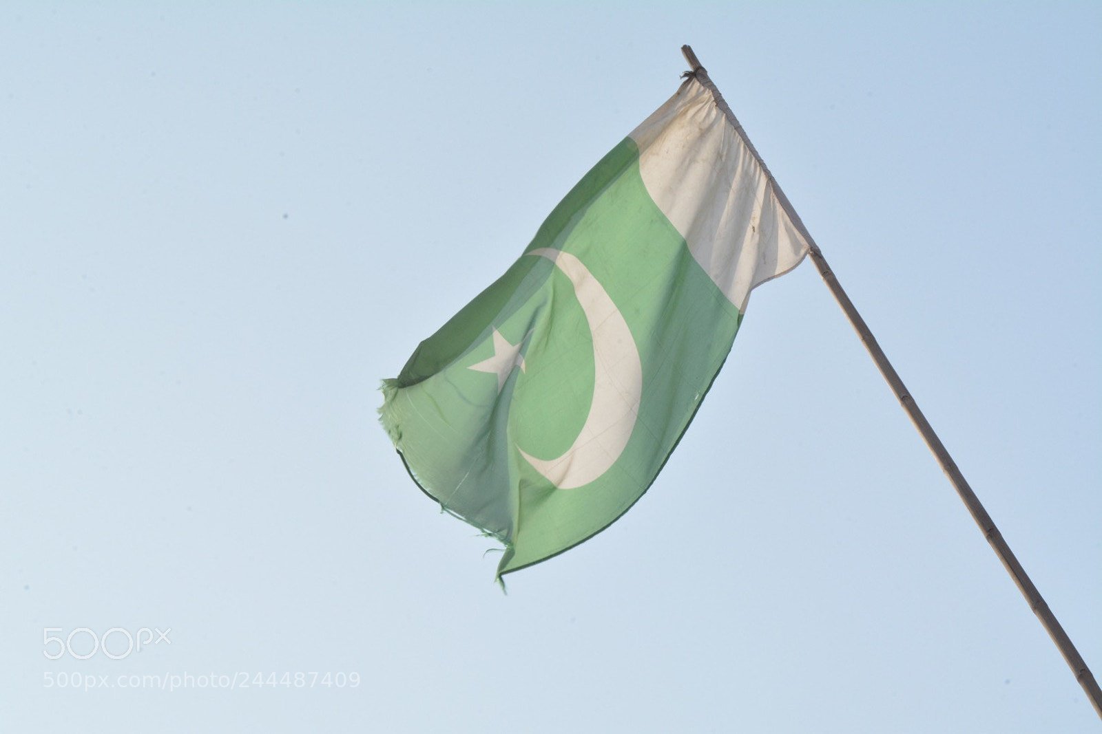 Nikon D7100 sample photo. Untitled photography
