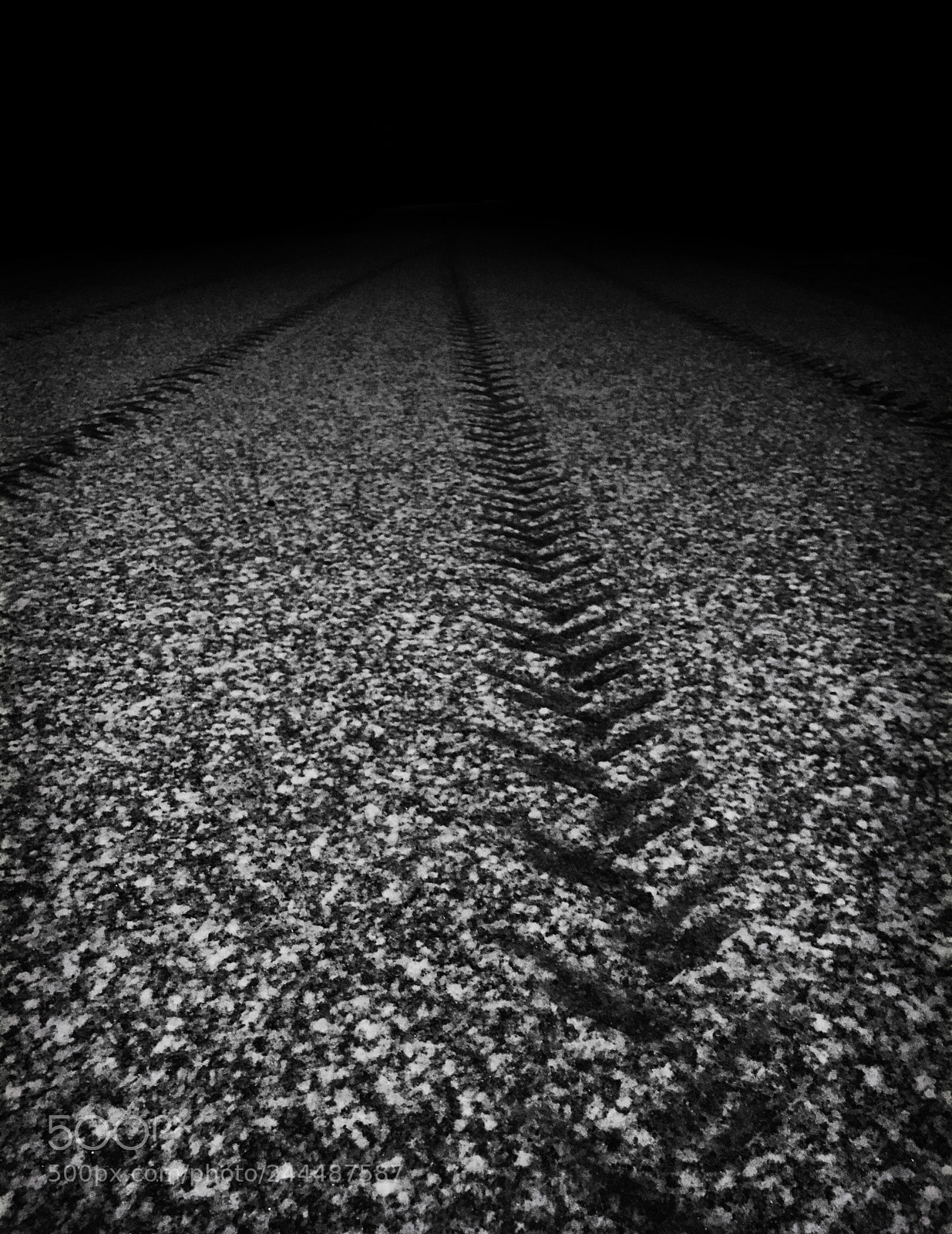 Apple iPhone 7 Plus sample photo. Bw photography