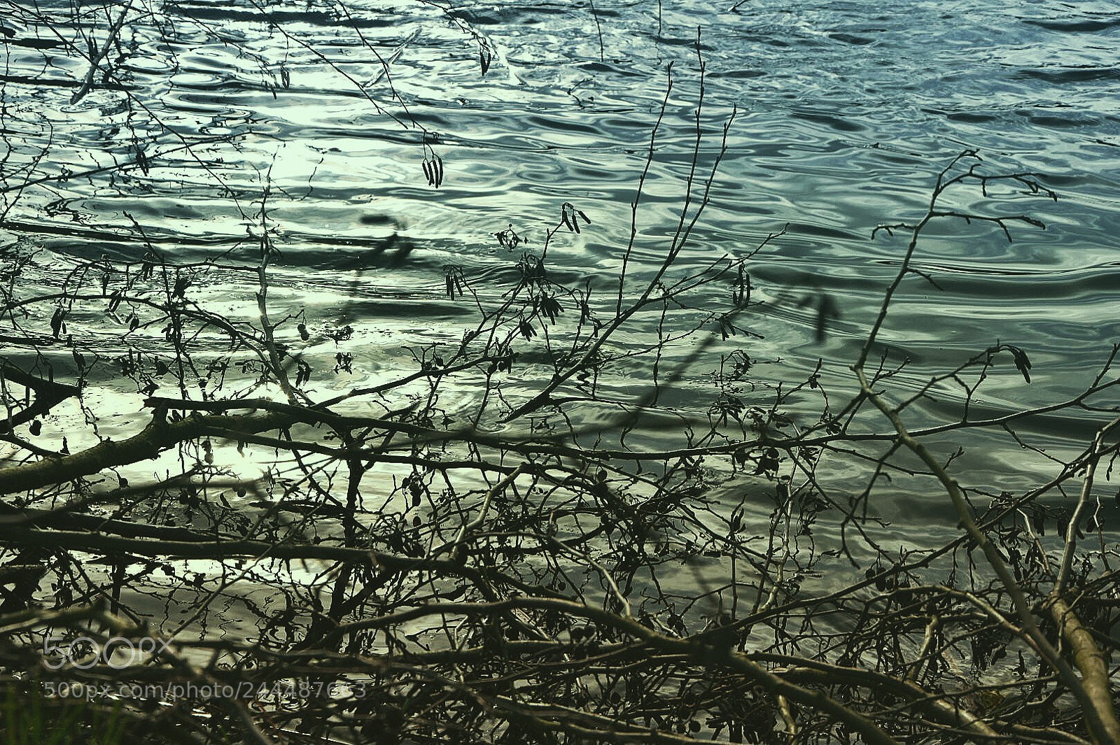 Nikon D7200 sample photo. Afternoon photography