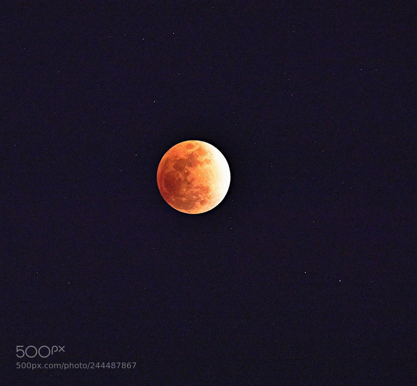 Nikon D810 sample photo. Untitled photography