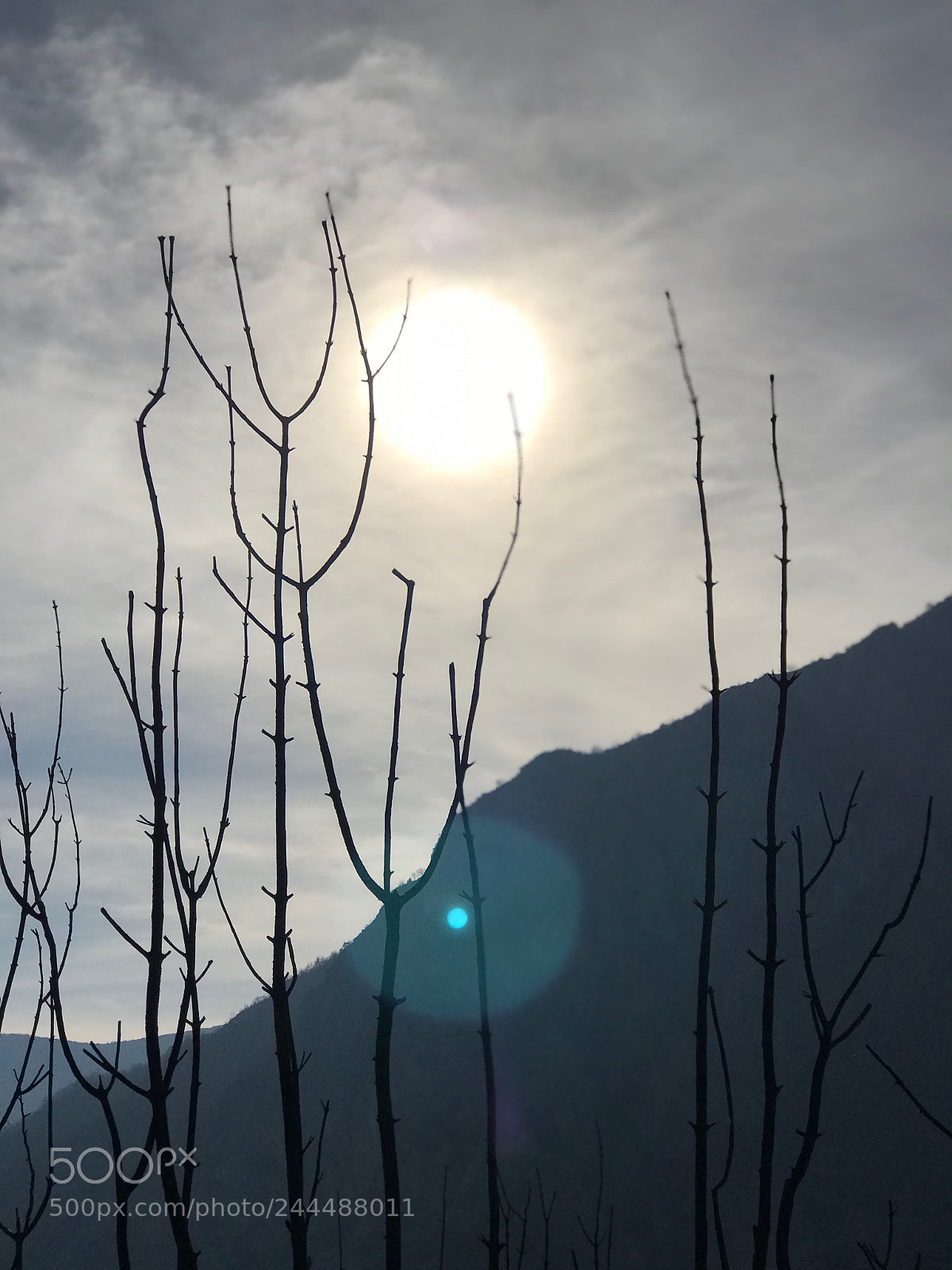 Apple iPhone 7 Plus sample photo. Winter sun photography