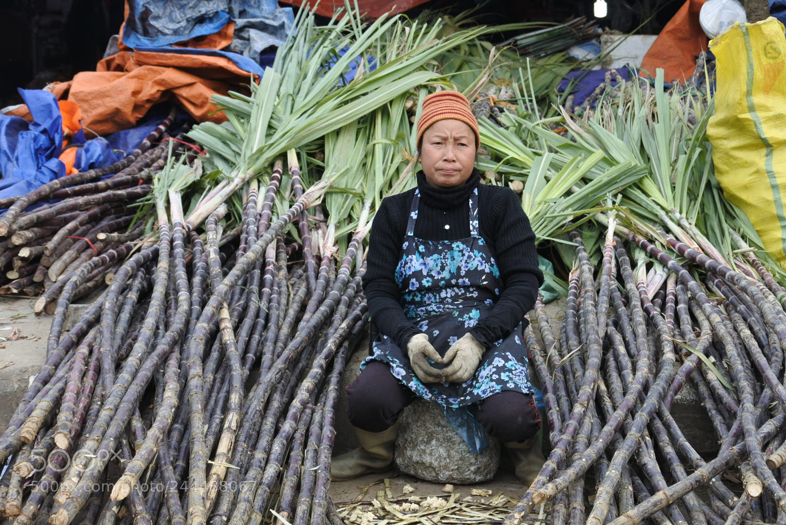 Nikon 1 J5 sample photo. Vietnam market bamboo woman photography