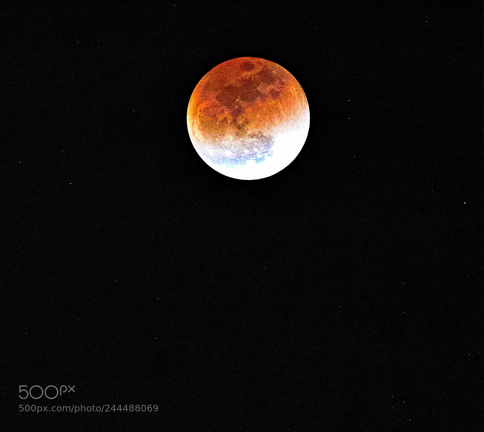 Nikon D810 sample photo. Untitled photography