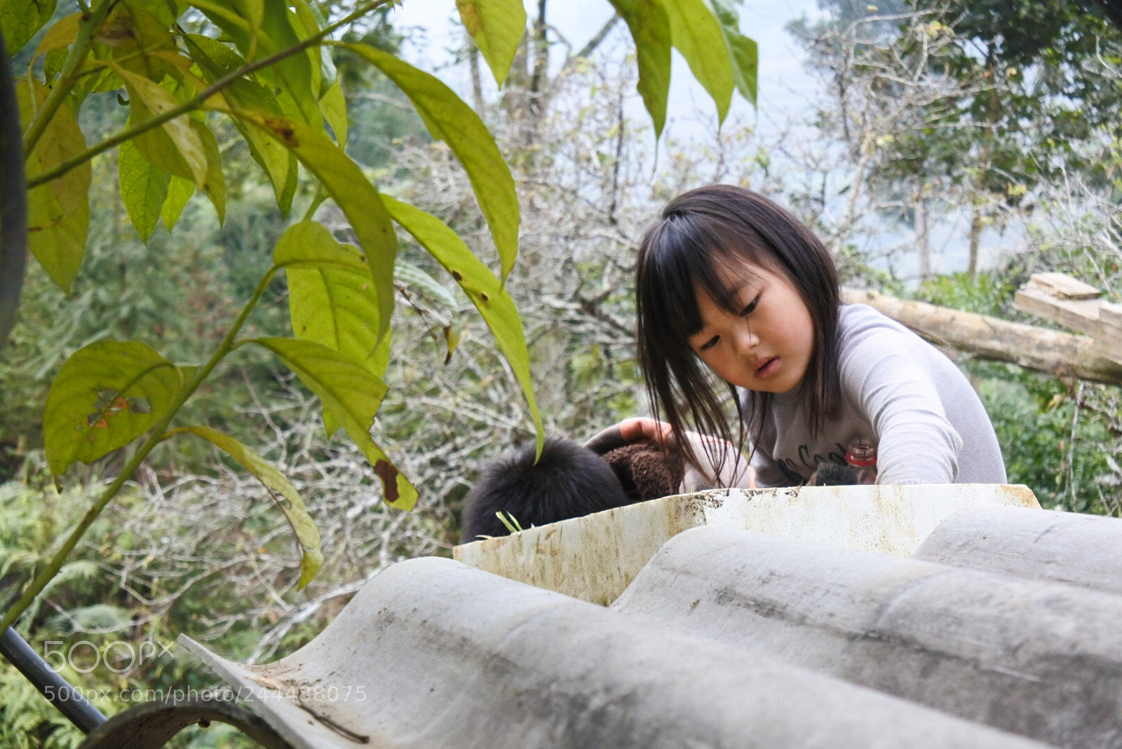 Nikon 1 J5 sample photo. Vietnam children photography