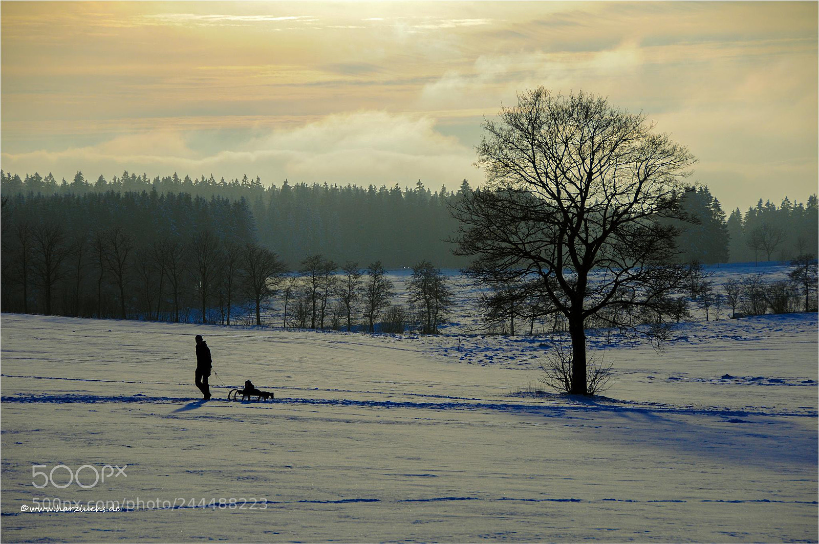 Nikon D300 sample photo. Winter im harz photography