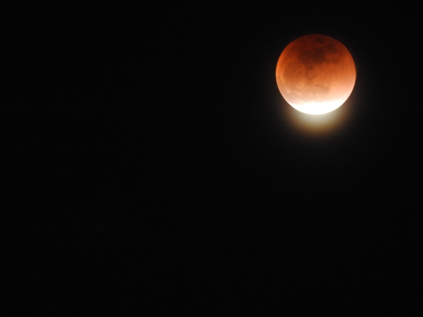 Nikon COOLPIX P900s sample photo. Red moon lunar eclipse jan 31 photography
