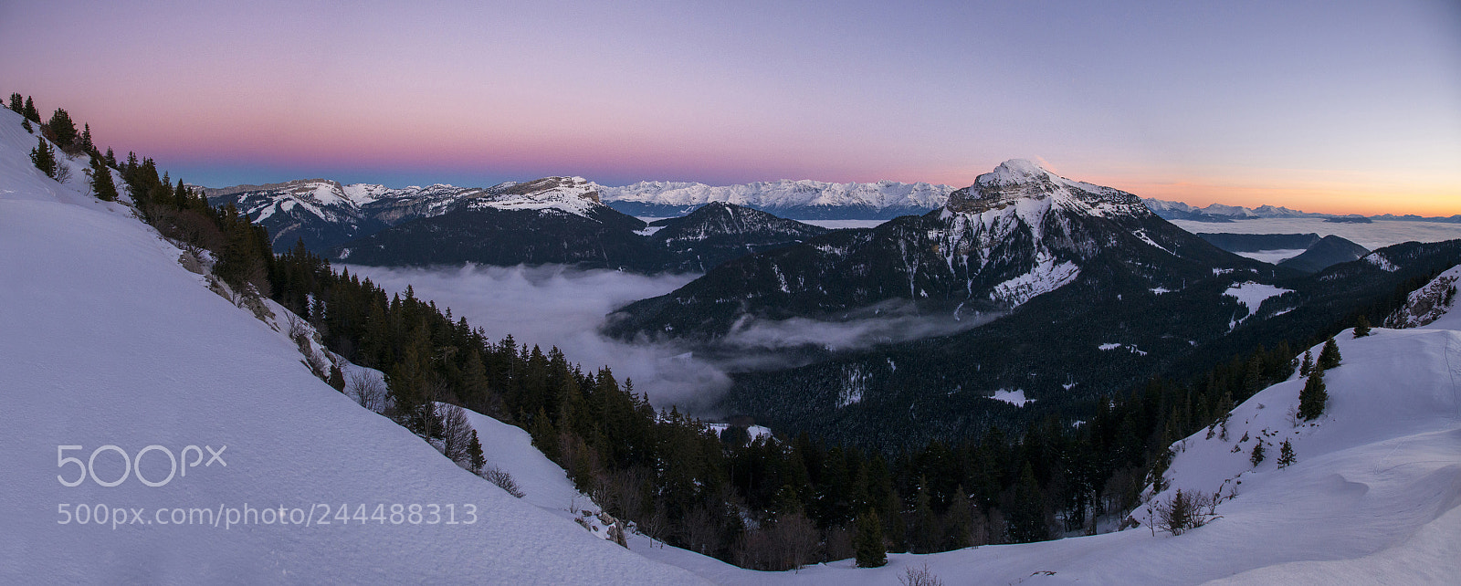 Nikon D800 sample photo. Chartreuse photography