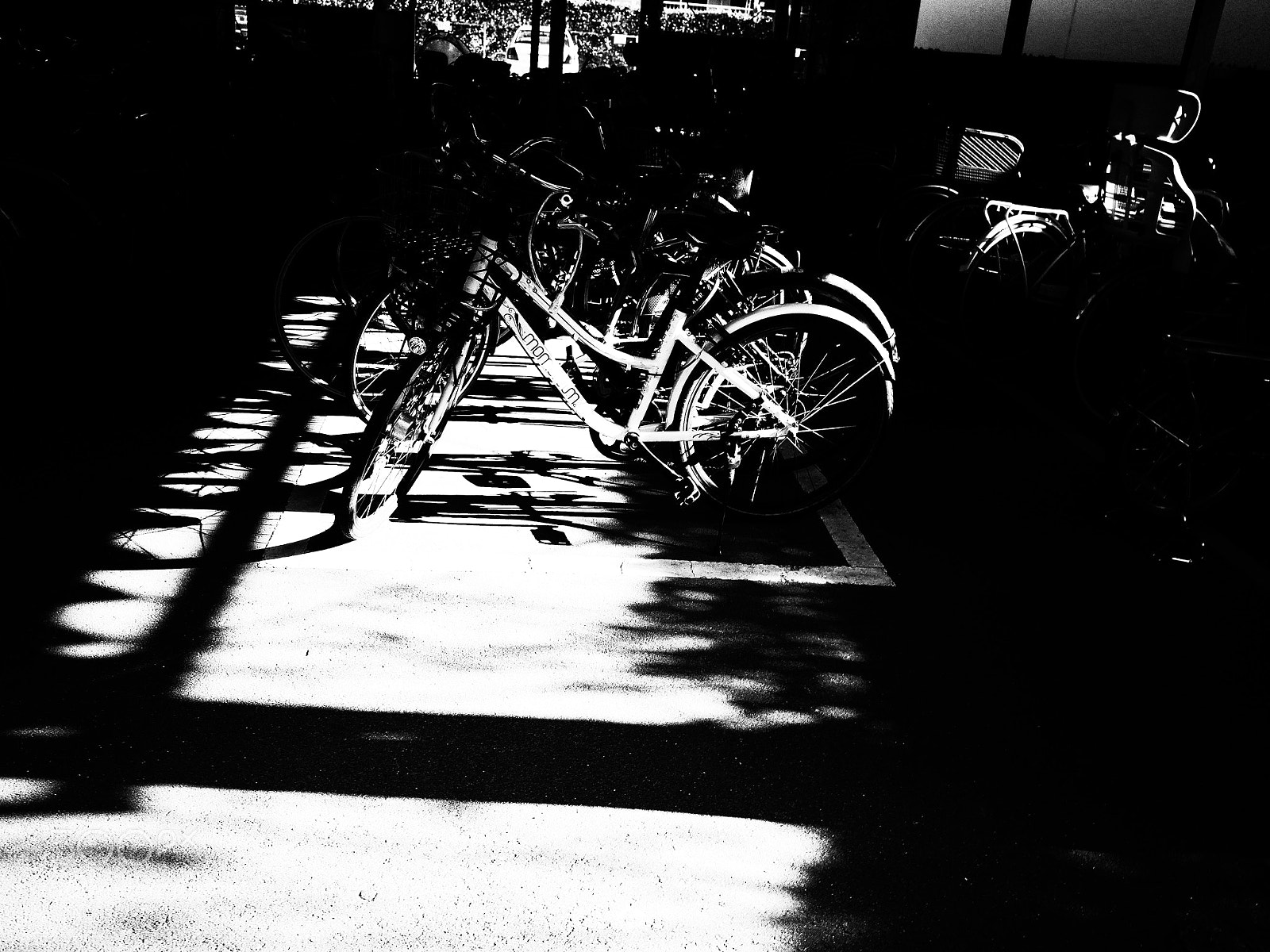 Ricoh GR II sample photo. Untitled photography
