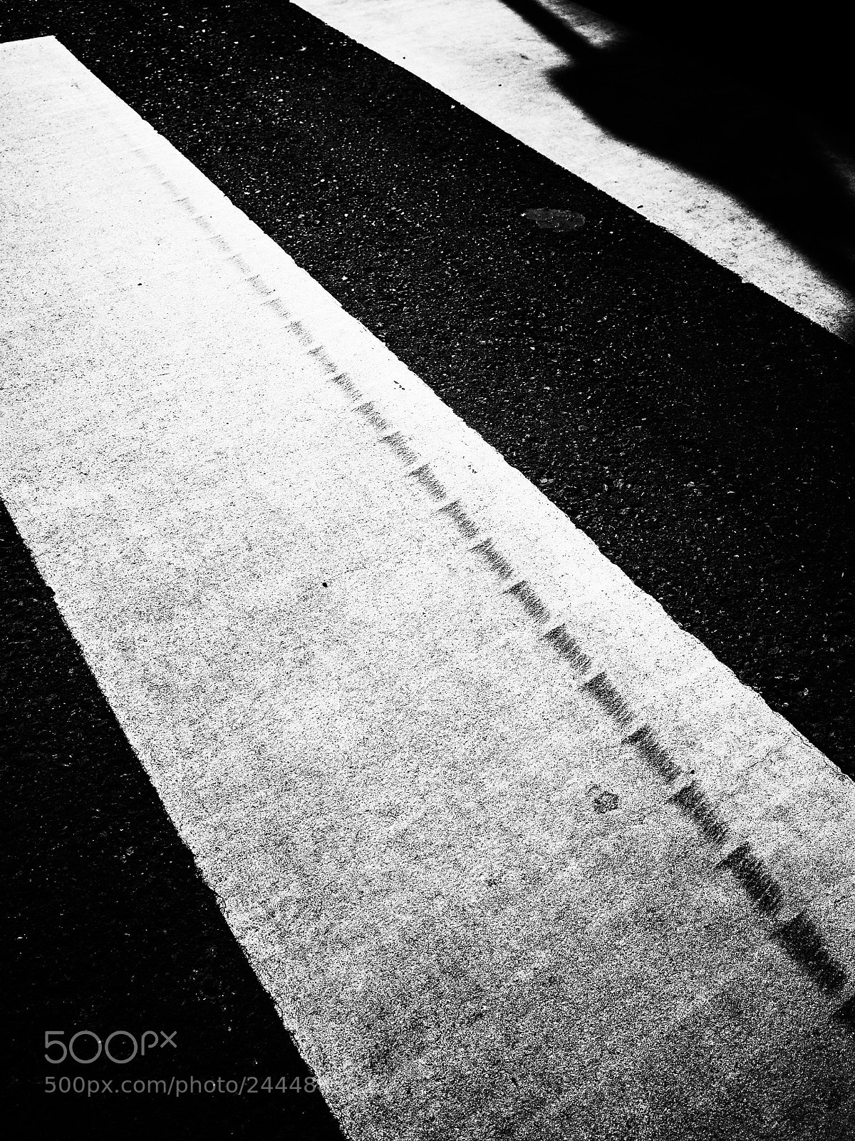 Ricoh GR II sample photo. Untitled photography