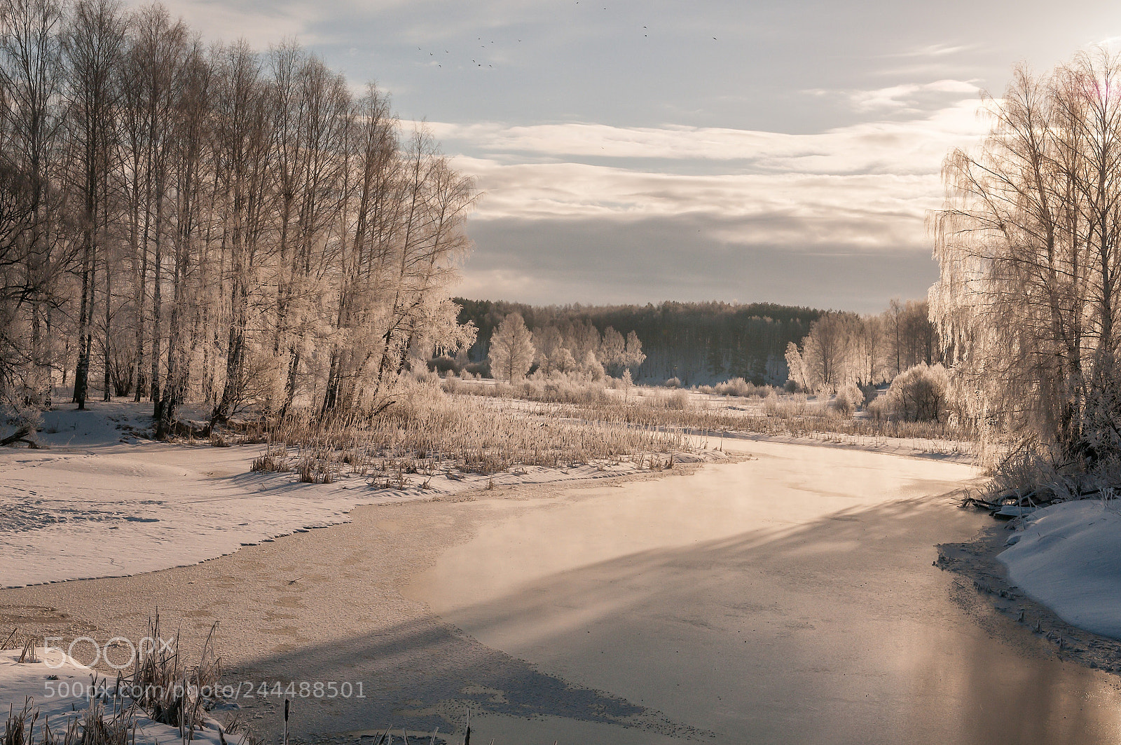 Nikon D300S sample photo. Frost on the river photography