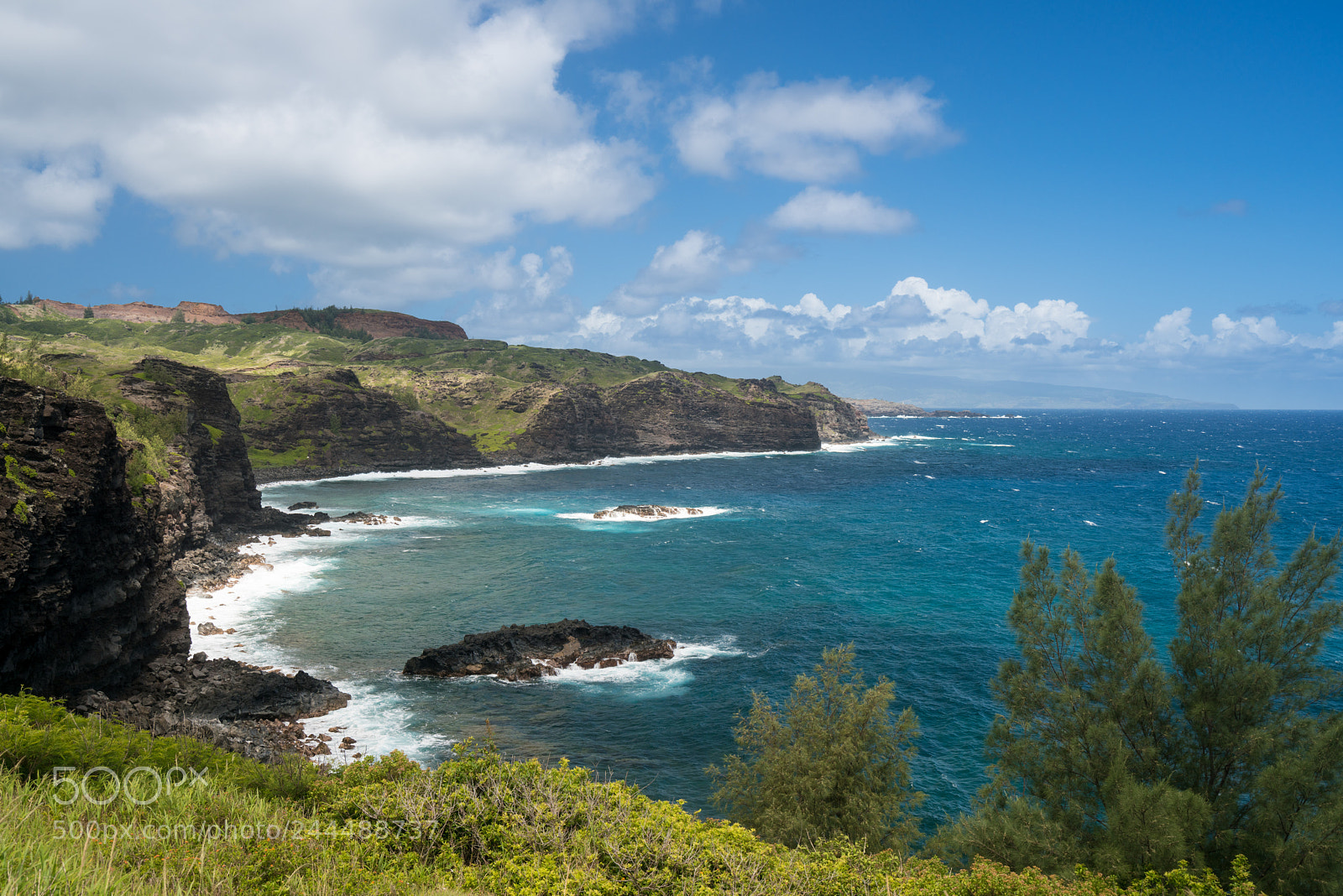 Sony a7R II sample photo. North east coastline of photography
