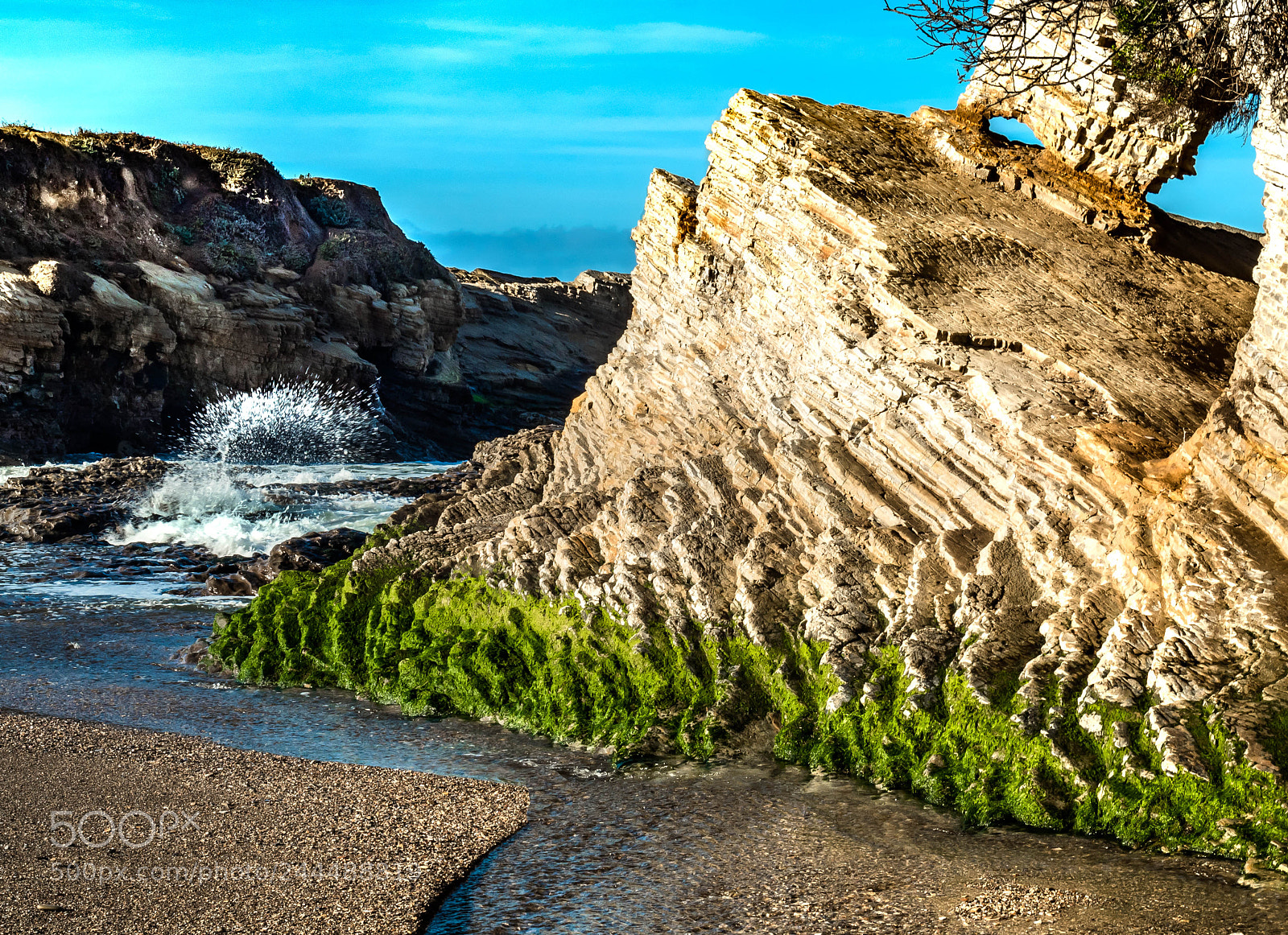 Olympus OM-D E-M5 II sample photo. Spooner’s cove. photography