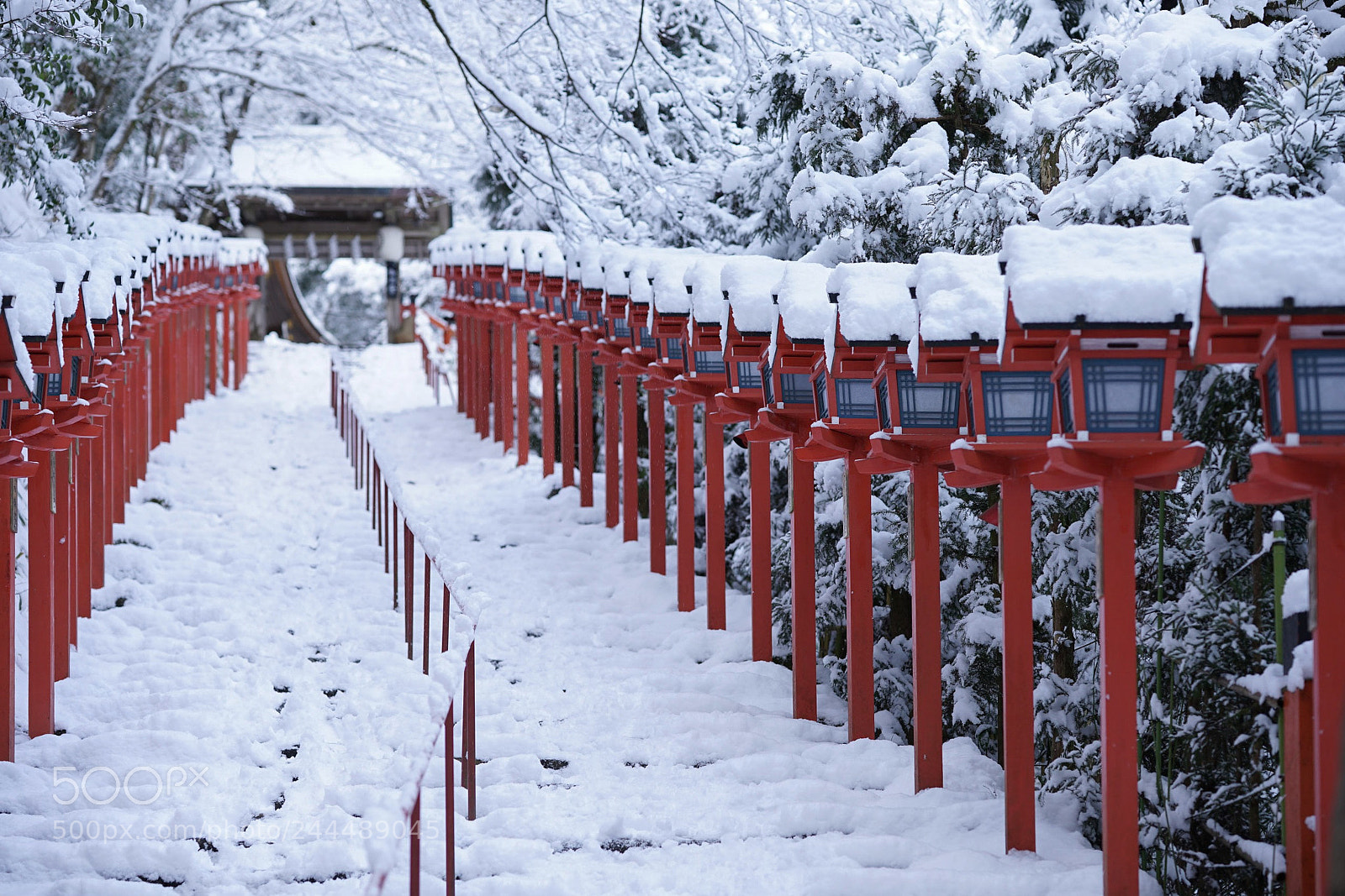 Sony a7 II sample photo. Kifunejinja shrine photography