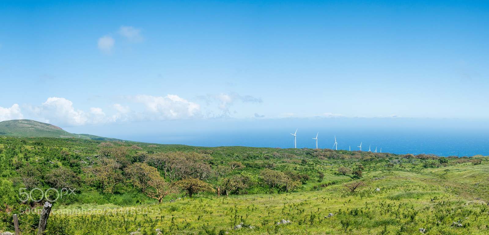 Sony a7R II sample photo. Auwahi wind turbines around photography