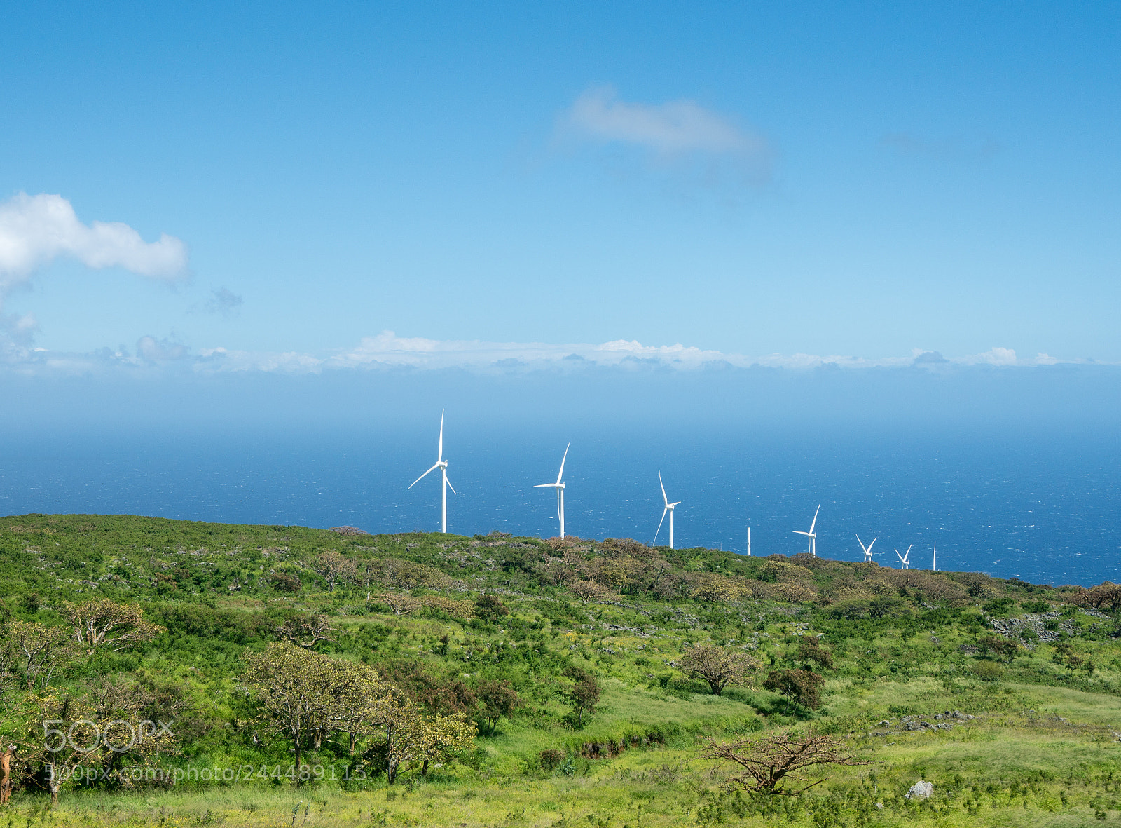 Sony a7R II sample photo. Auwahi wind turbines around photography