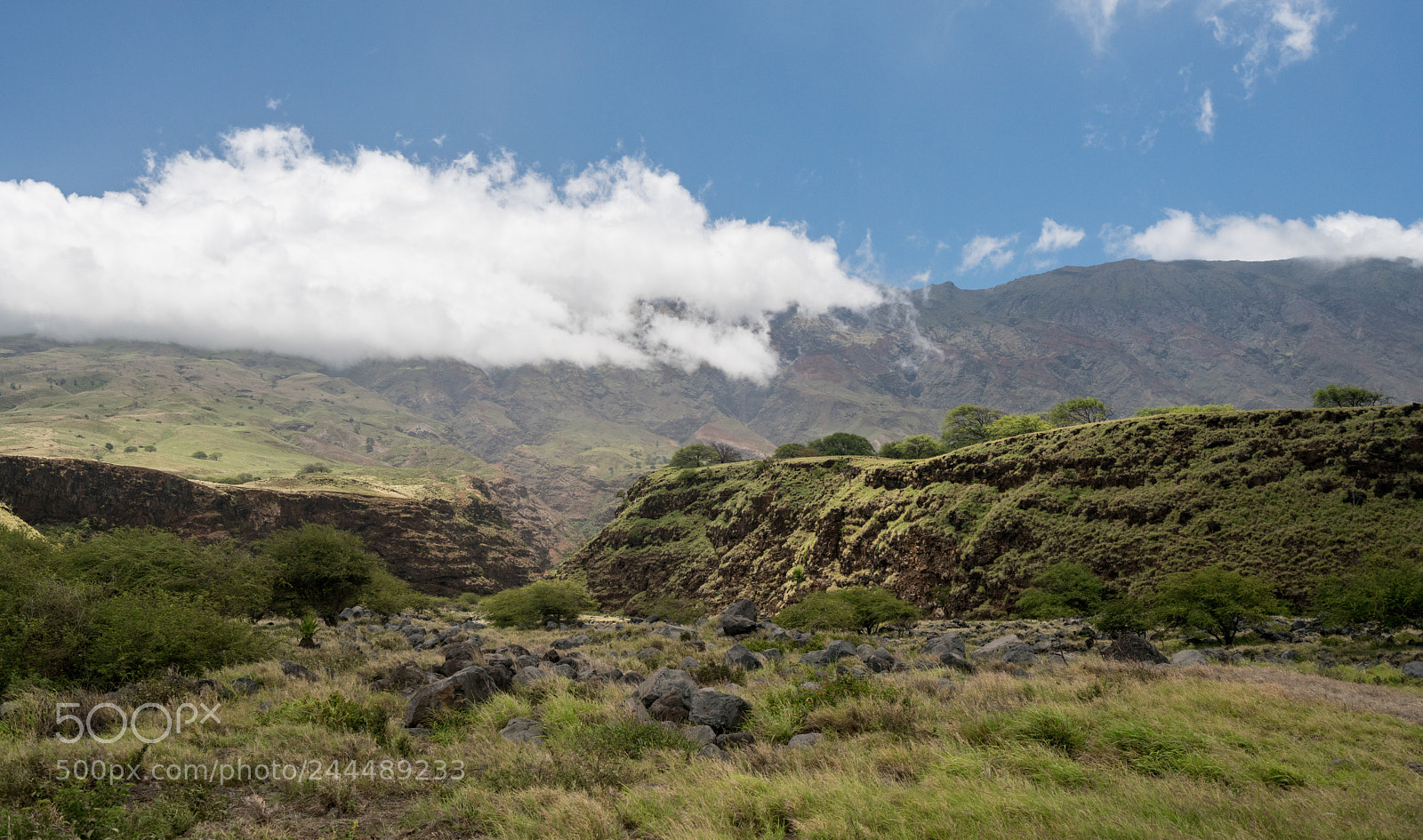 Sony a7R II sample photo. Road past hana around photography