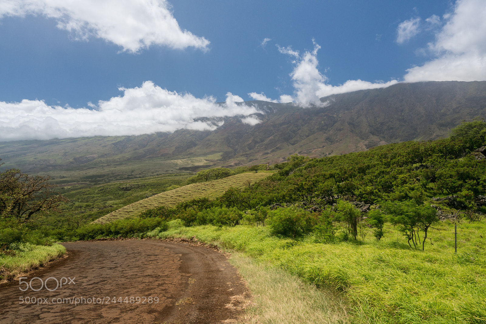 Sony a7R II sample photo. Road past hana around photography
