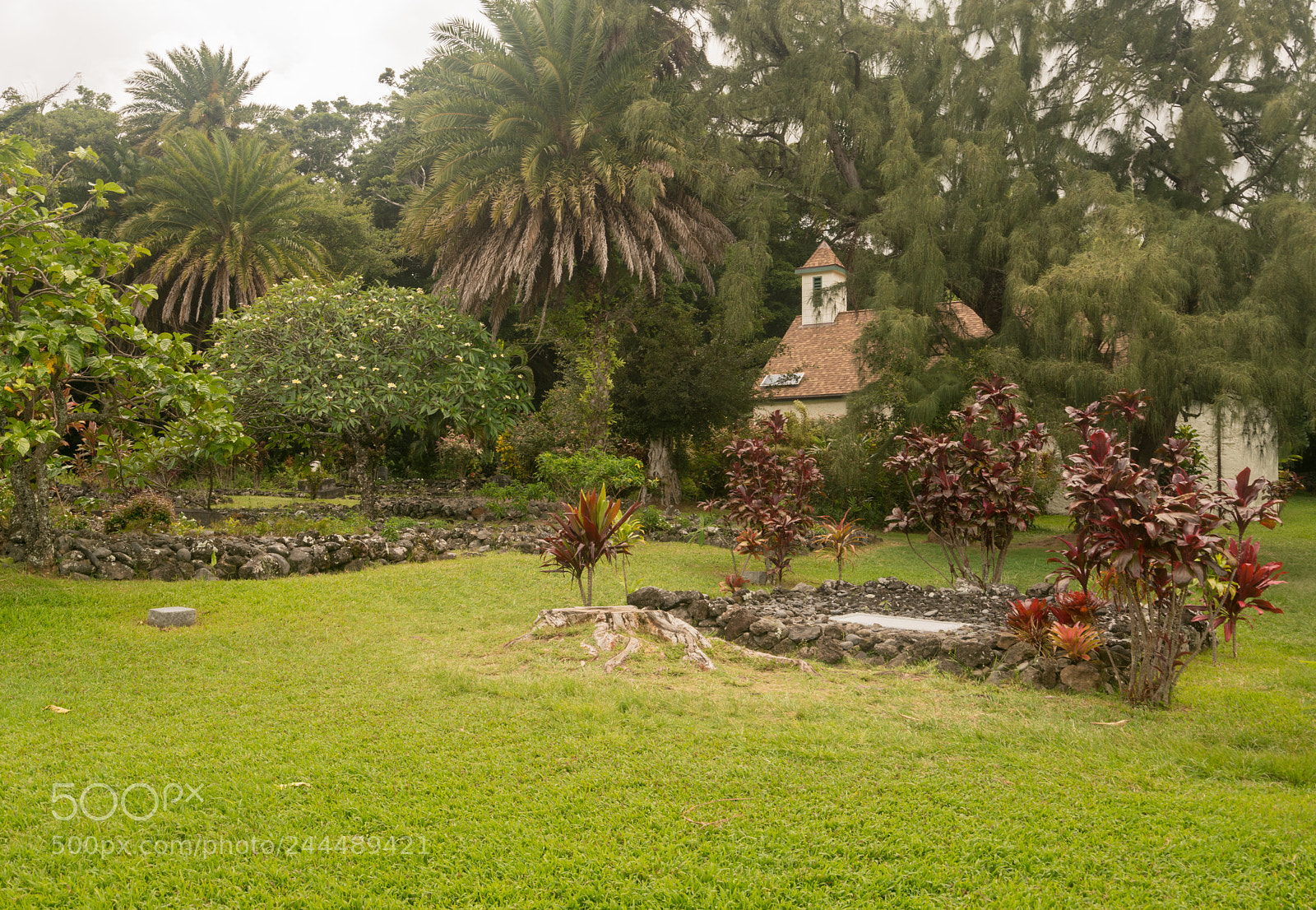 Sony a7R II sample photo. Grave of aviator charles photography