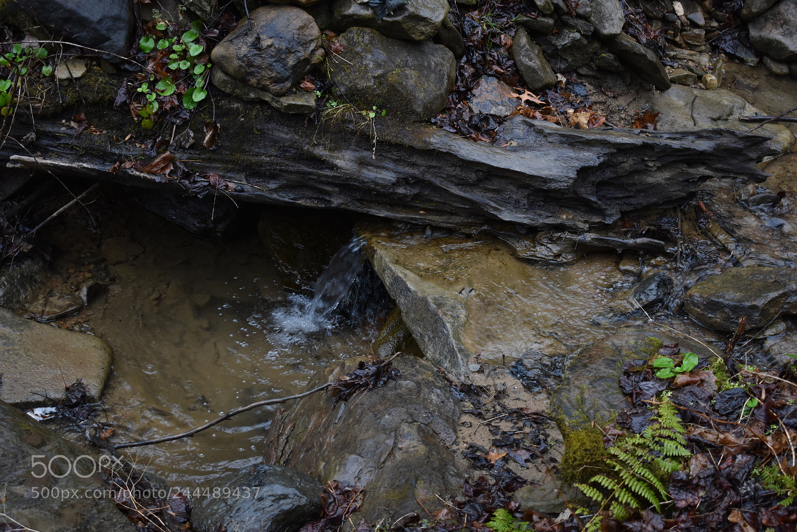 Nikon D3400 sample photo. Creek photography