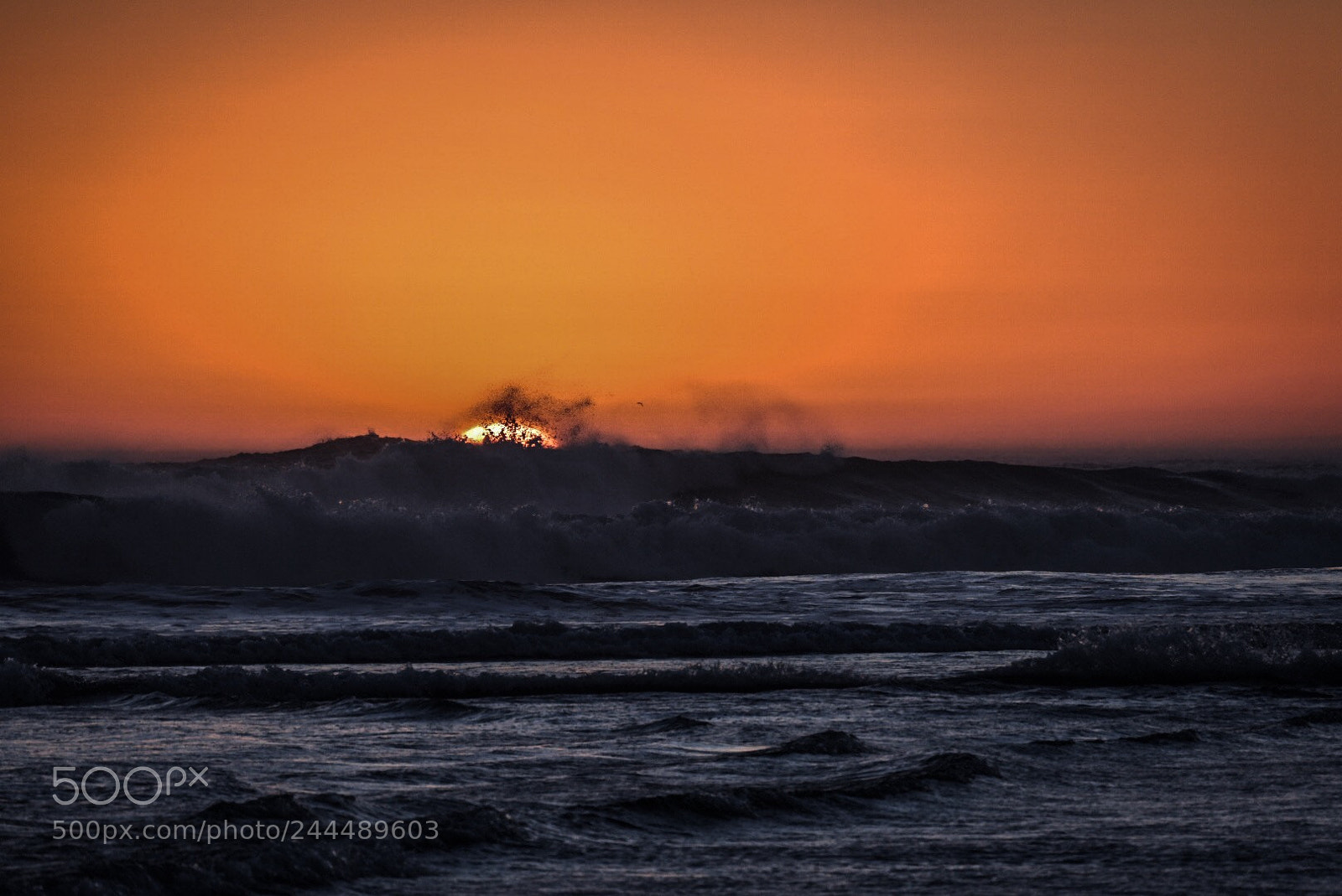 Nikon 1 J5 sample photo. Wildside sunset, south africa photography