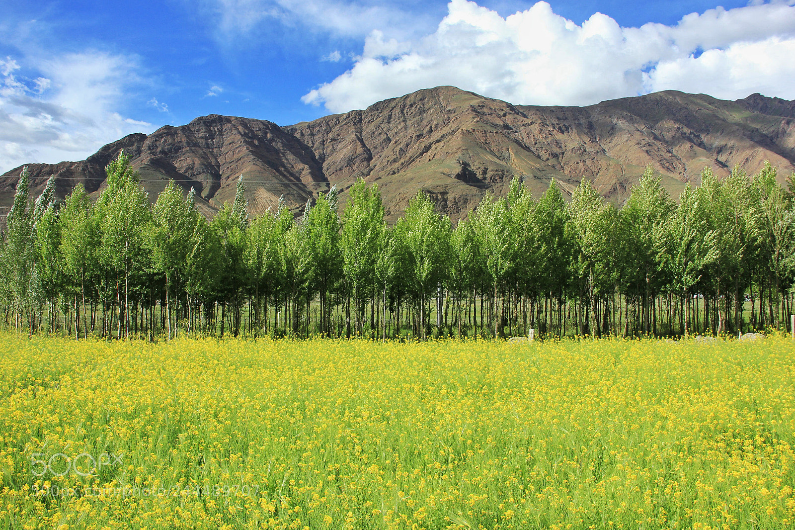 Canon EOS 550D (EOS Rebel T2i / EOS Kiss X4) sample photo. Tibet photography