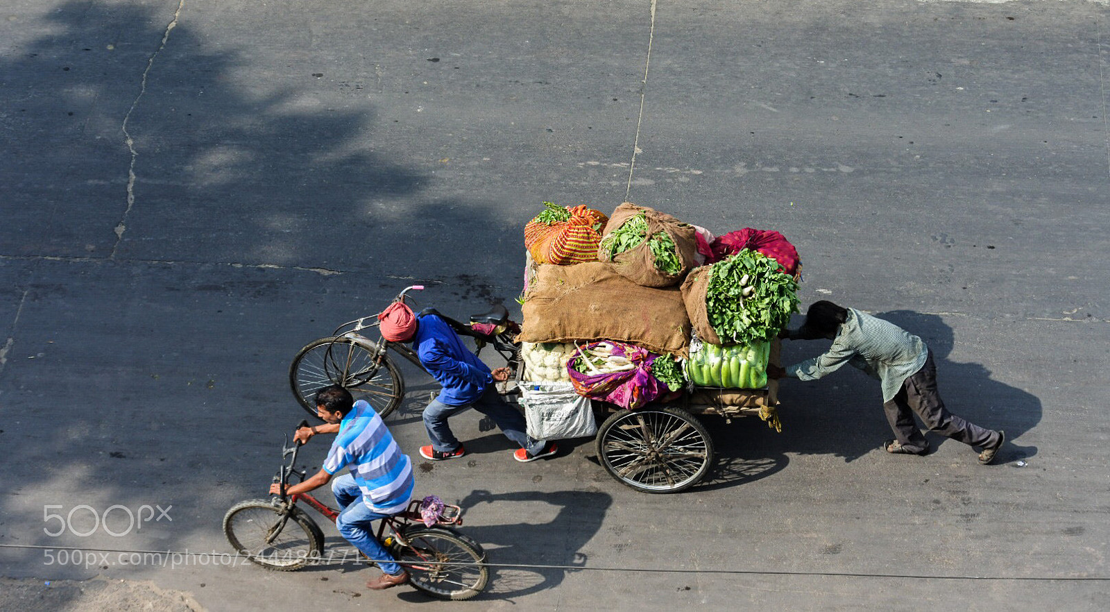 Nikon 1 J5 sample photo. India photography
