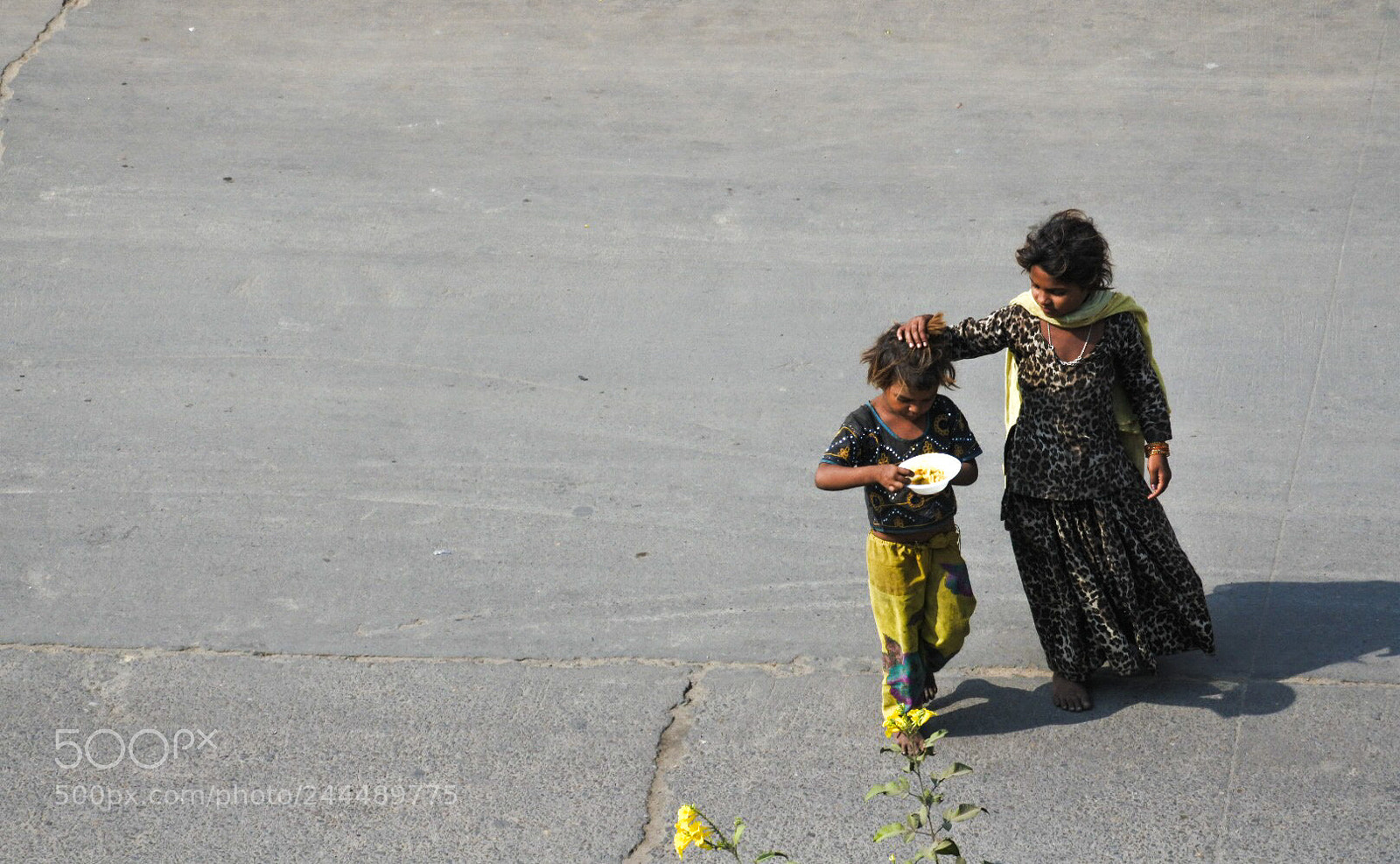 Nikon 1 J5 sample photo. India photography