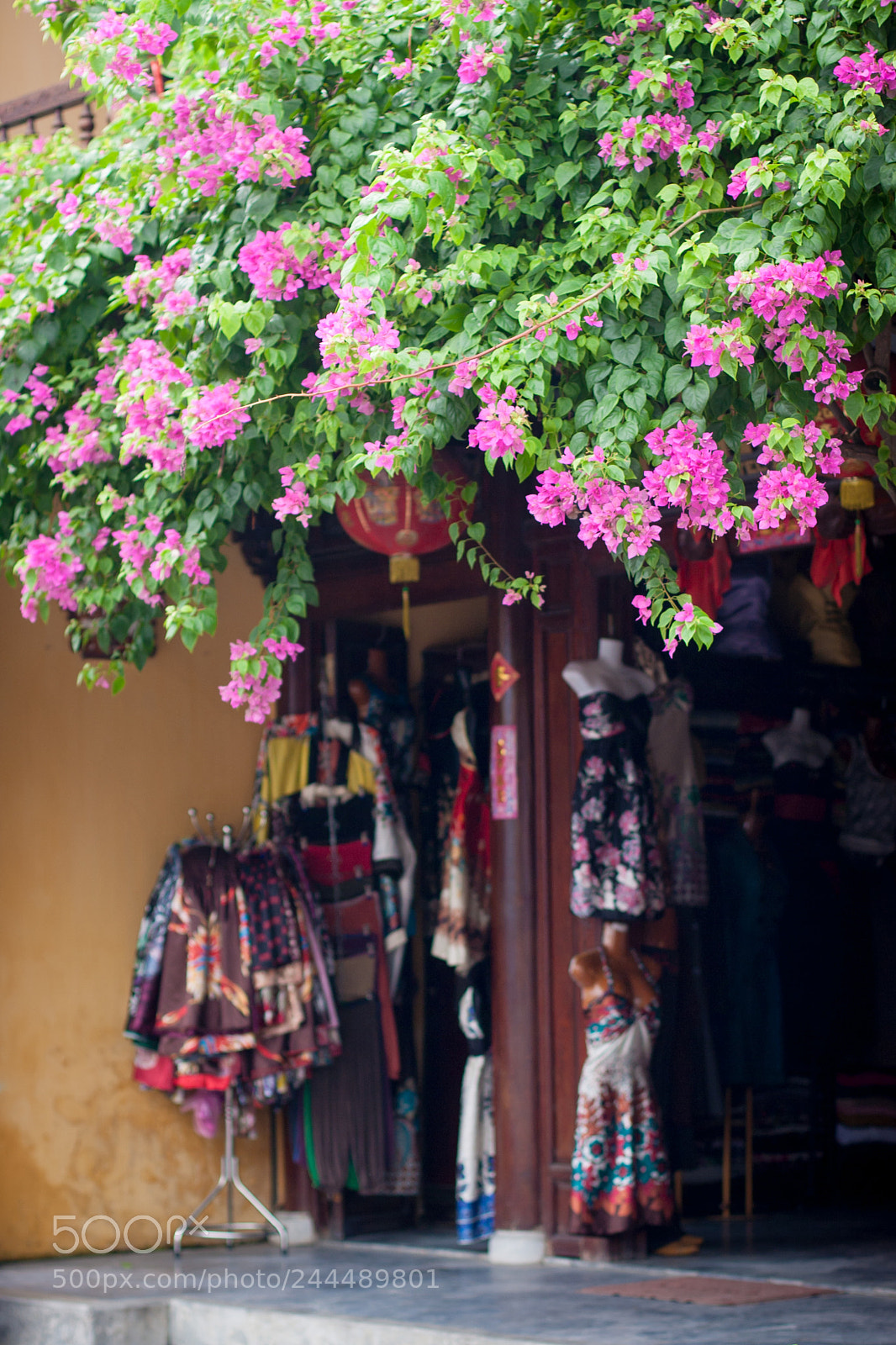 Canon EOS 20D sample photo. Clothing store in hoi photography