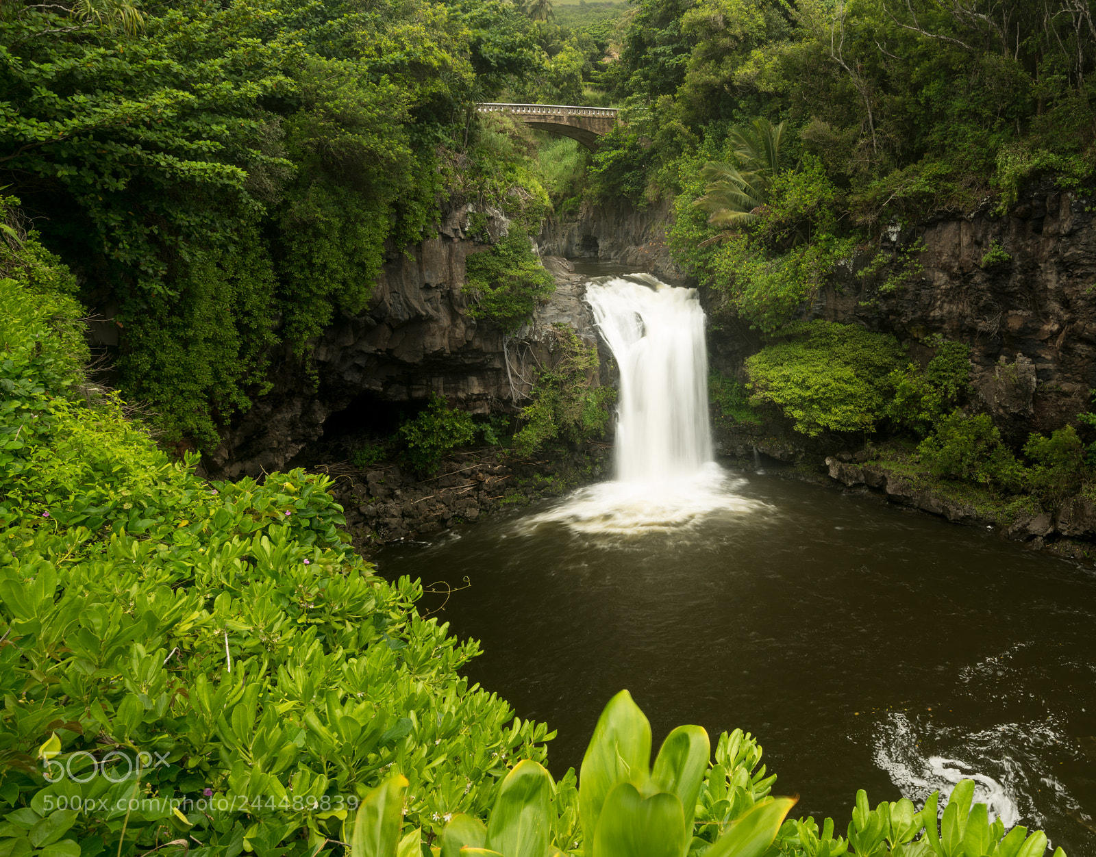 Sony a7R II sample photo. Waterfall under road bridge photography
