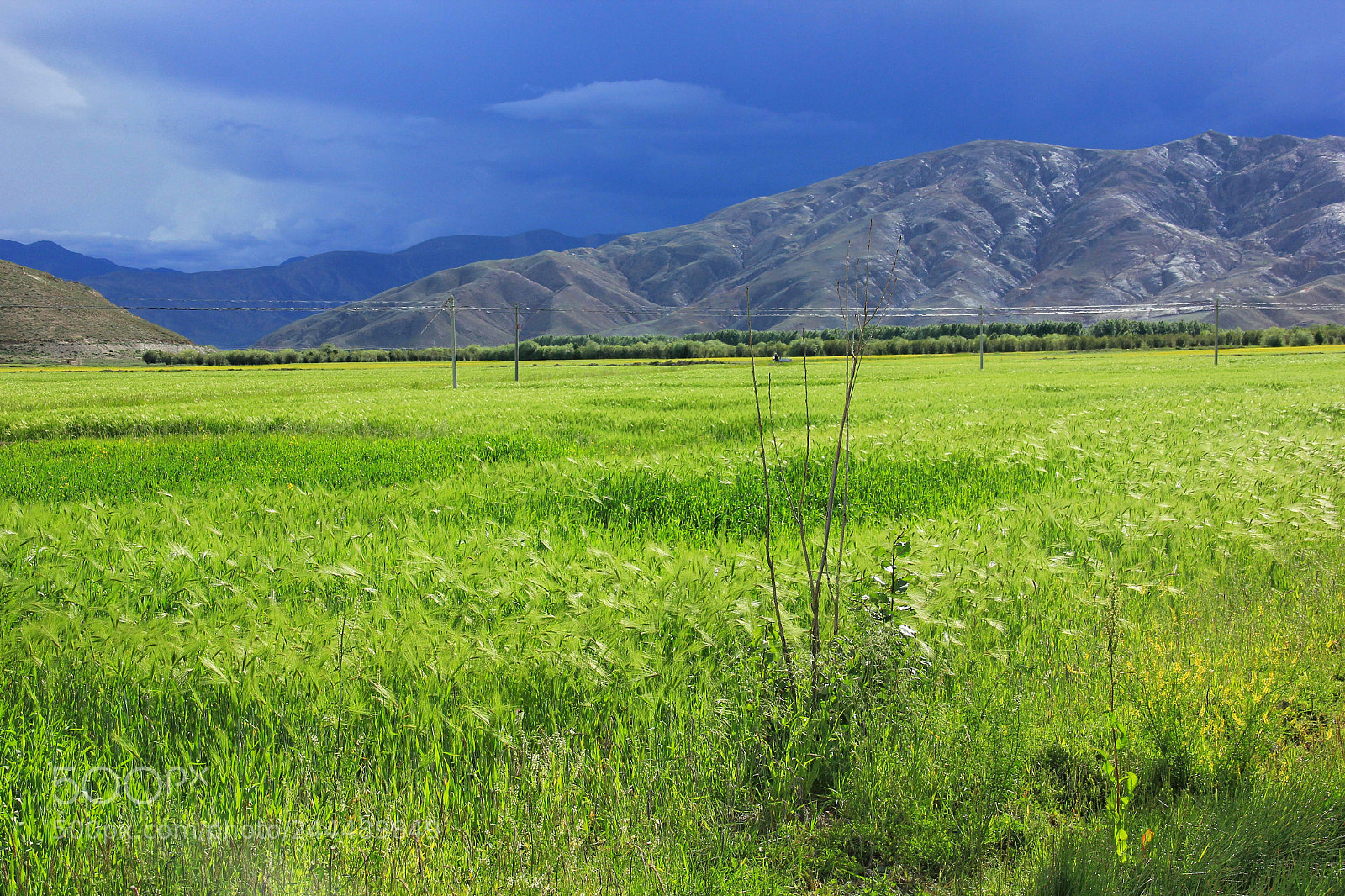 Canon EOS 550D (EOS Rebel T2i / EOS Kiss X4) sample photo. Tibet photography
