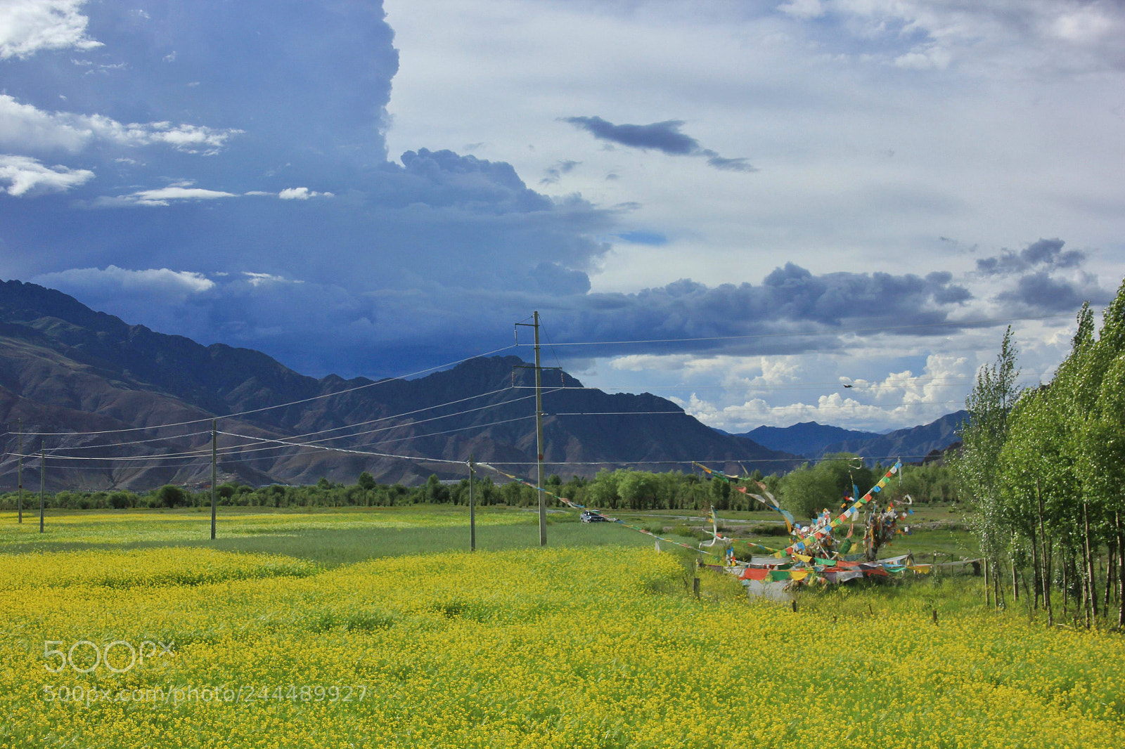 Canon EOS 550D (EOS Rebel T2i / EOS Kiss X4) sample photo. Tibet photography