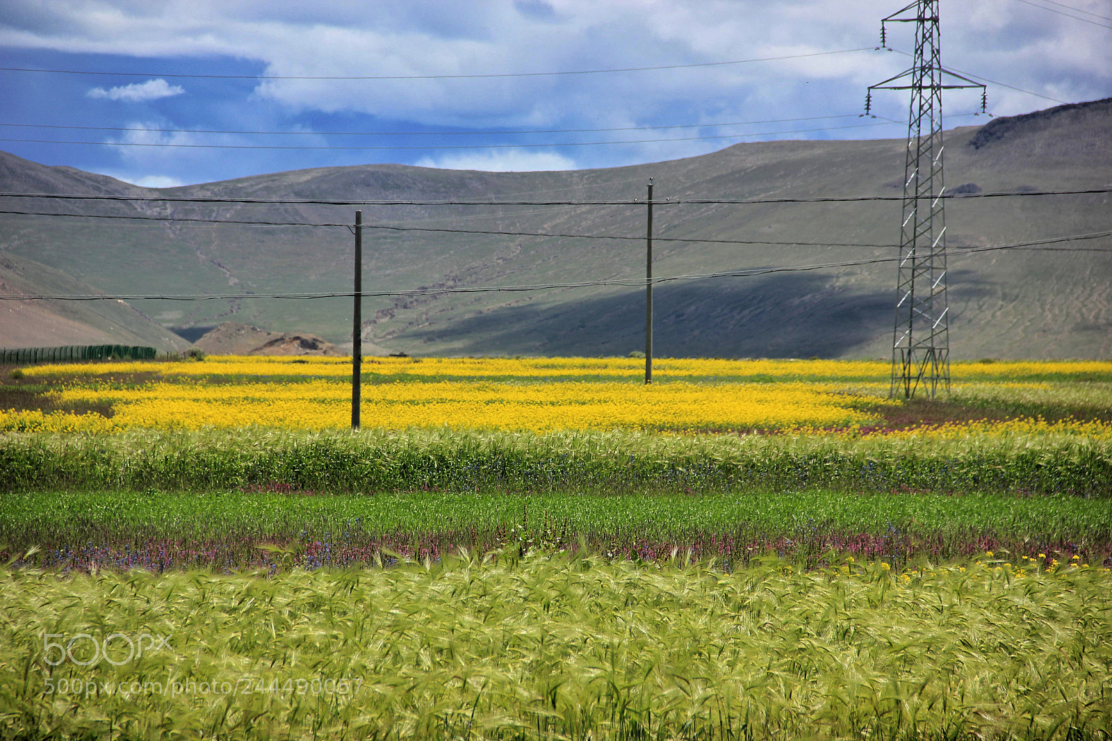 Canon EOS 550D (EOS Rebel T2i / EOS Kiss X4) sample photo. Tibet photography