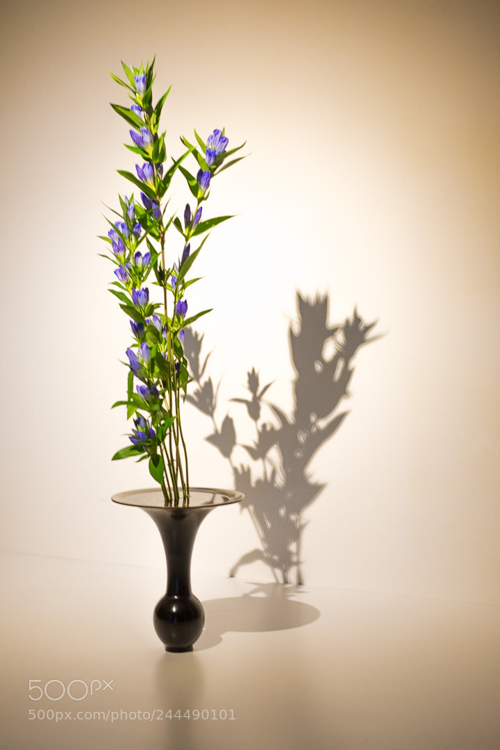 Fujifilm X-T1 sample photo. Sustaining art in communities photography