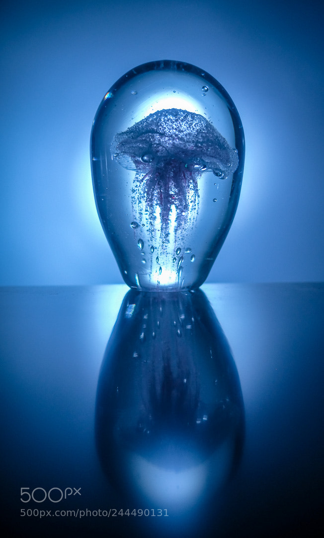 Fujifilm X-T1 sample photo. Jellyfish photography