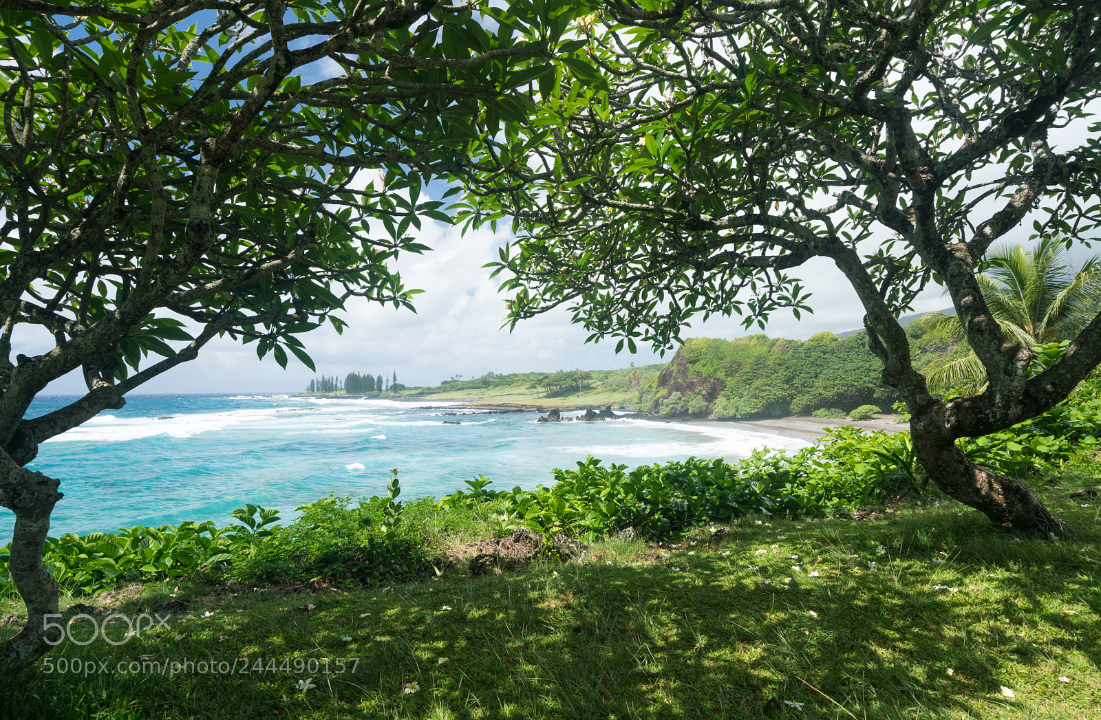 Sony a7R II sample photo. Hamoa beach near hana photography