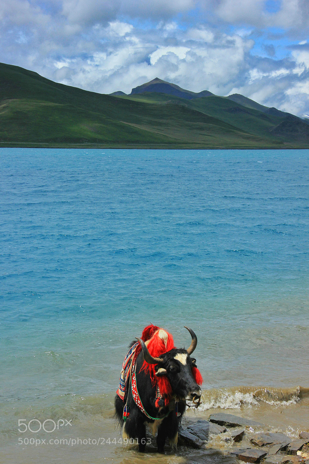 Canon EOS 550D (EOS Rebel T2i / EOS Kiss X4) sample photo. Tibet photography
