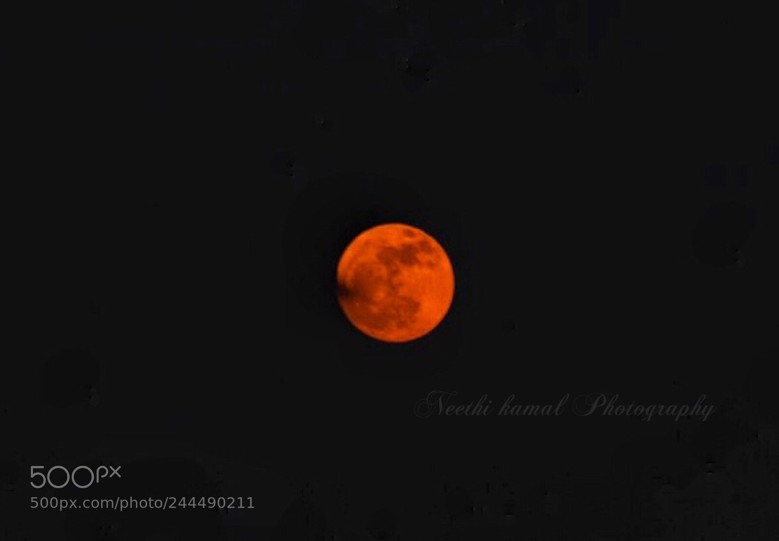 Nikon D7100 sample photo. Blood moon not bloodie photography