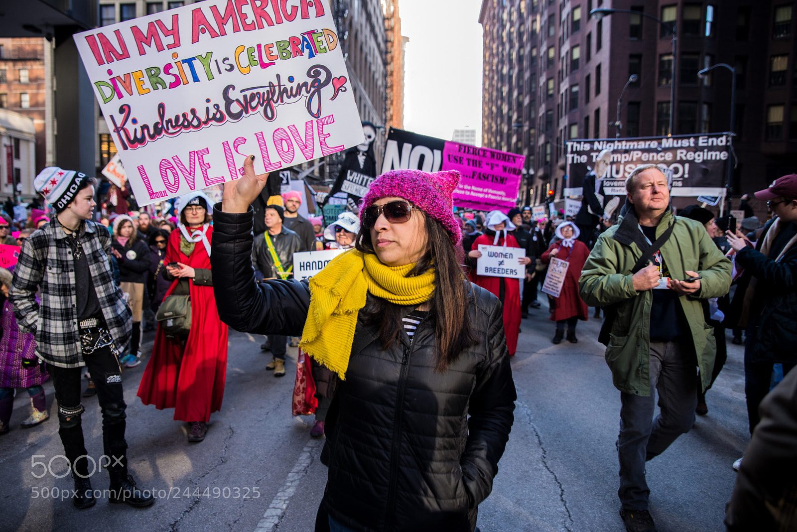 Nikon D610 sample photo. The women's march, 2018 (ix) photography
