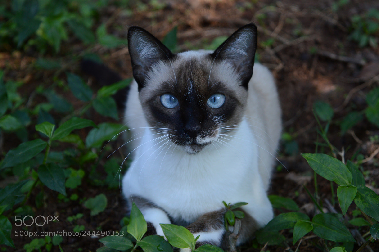 Nikon D3200 sample photo. Untitled photography