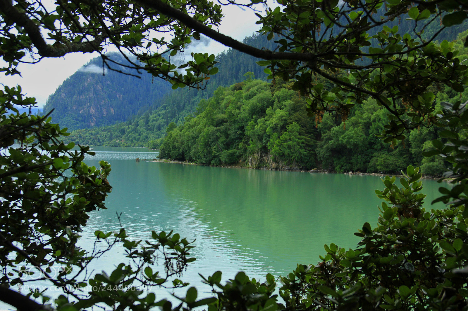 Canon EOS 550D (EOS Rebel T2i / EOS Kiss X4) sample photo. Tibet photography