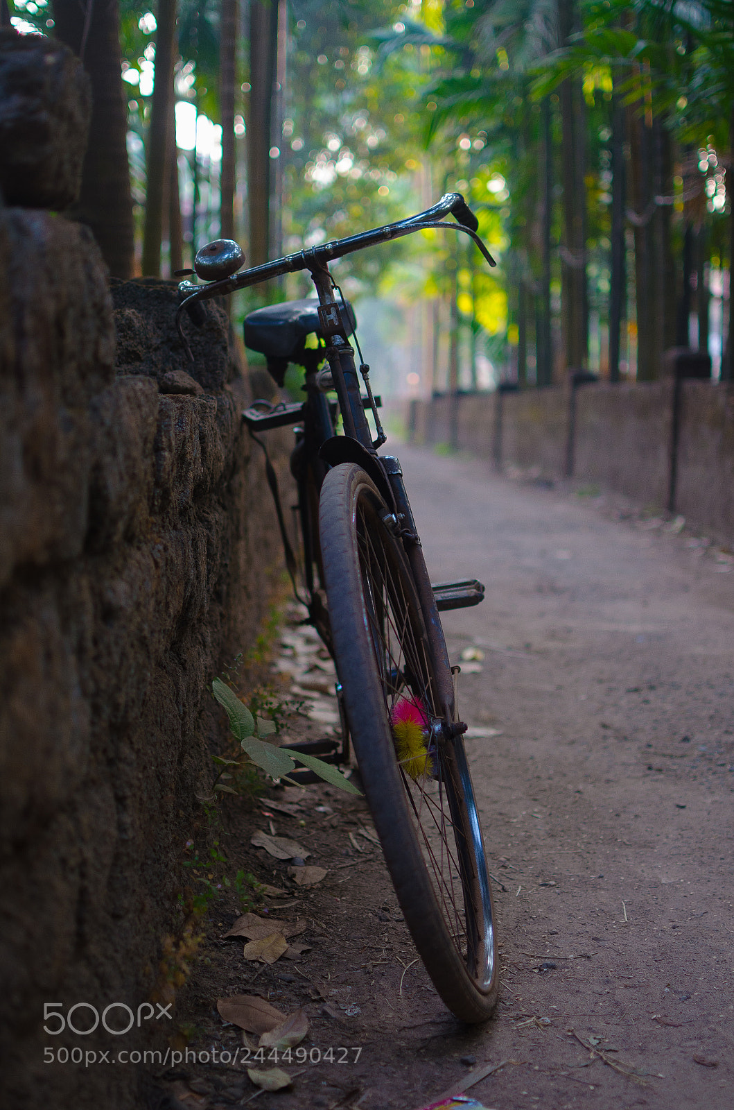 Nikon D5100 sample photo. Cycle photography