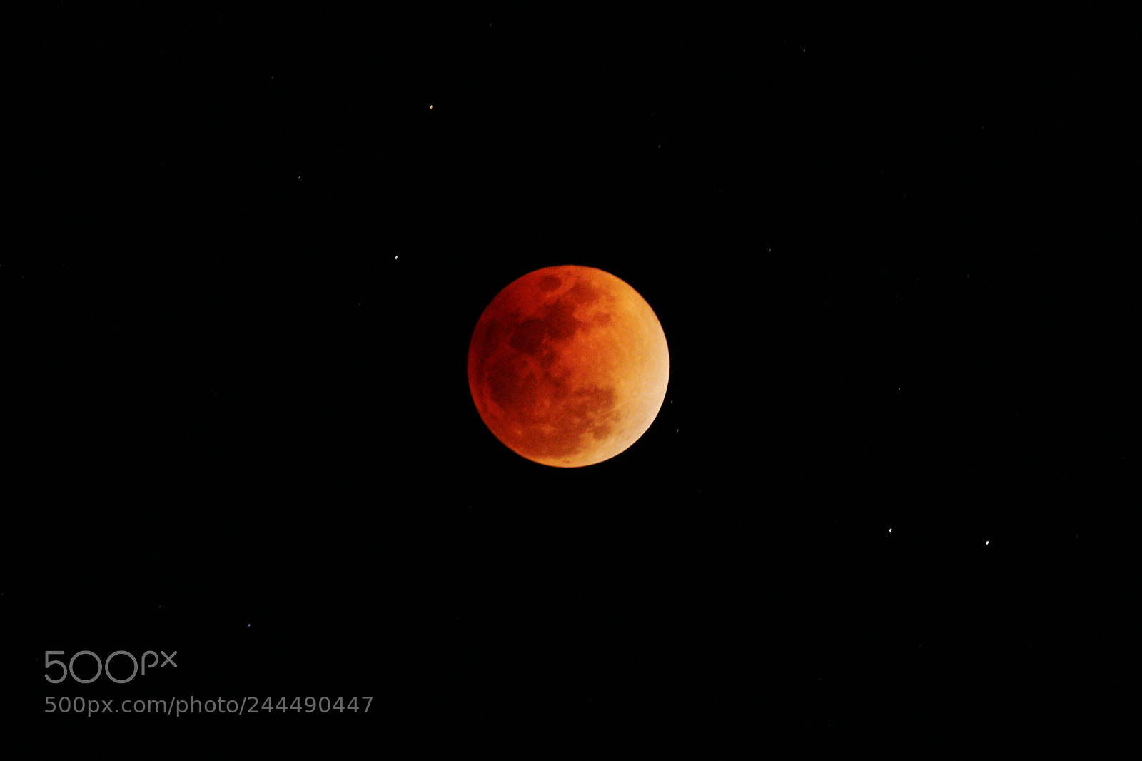 Canon EF 70-200mm F2.8L IS II USM sample photo. Bloody moon photography