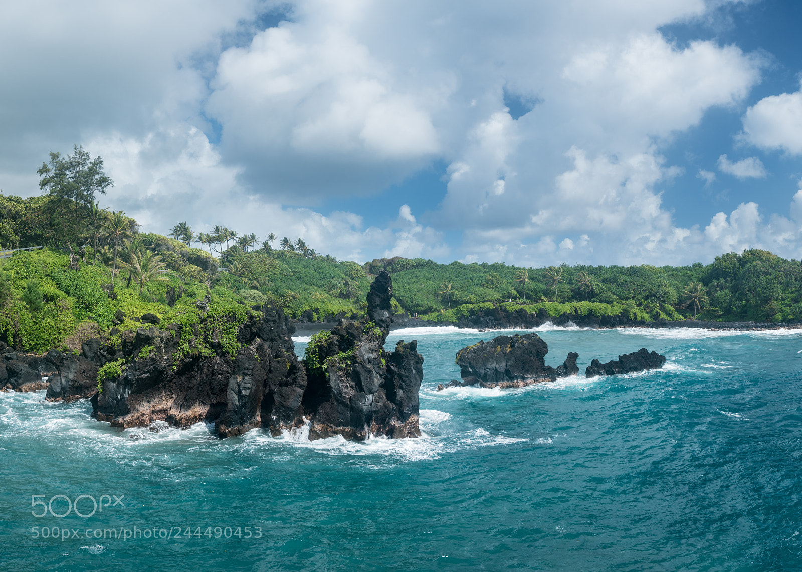 Sony a7R II sample photo. Green lava rocks at photography