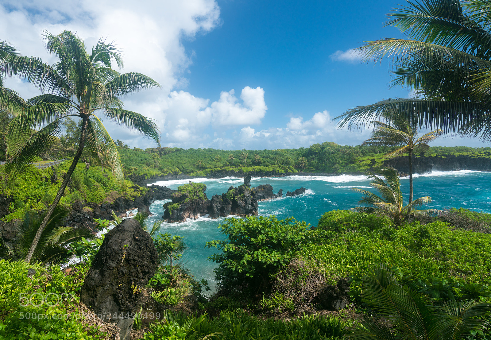 Sony a7R II sample photo. Green rocks at waianapanapa photography